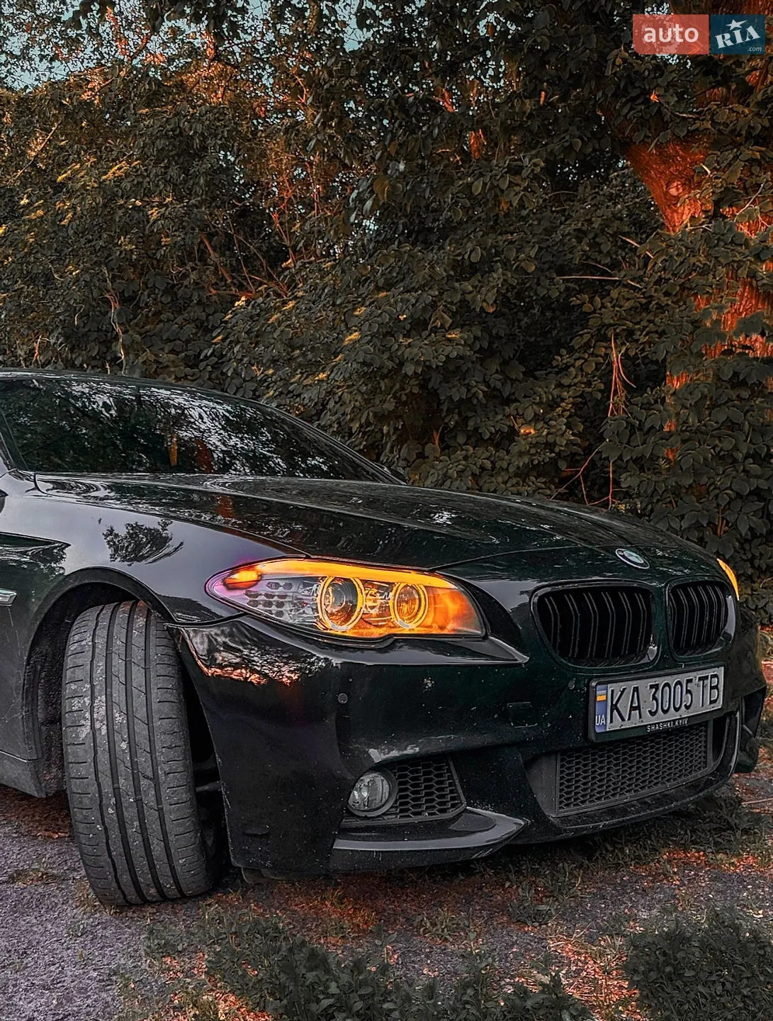 2010 BMW 5er - мініатюра 2