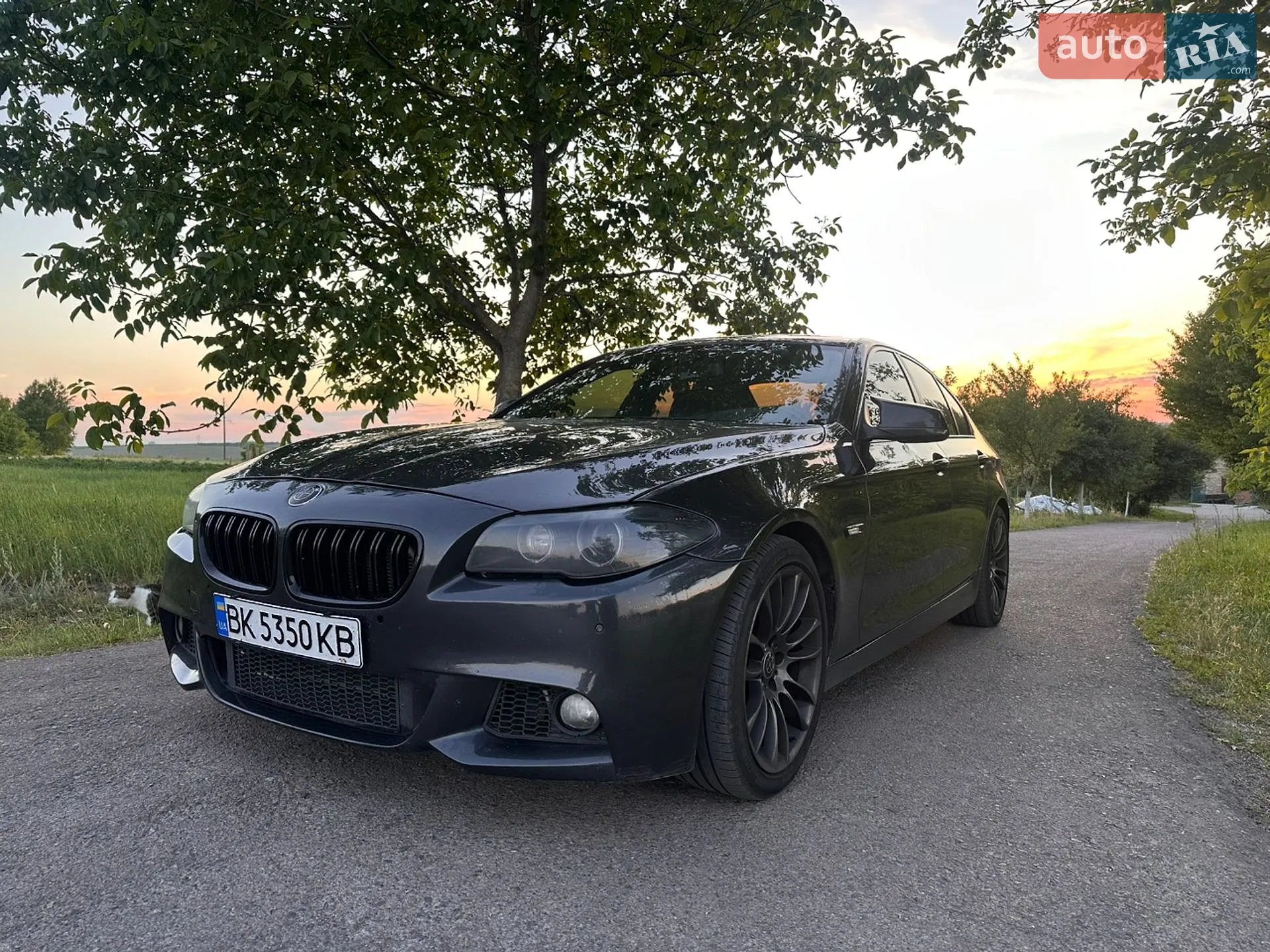 2010 BMW 5er - фото 1