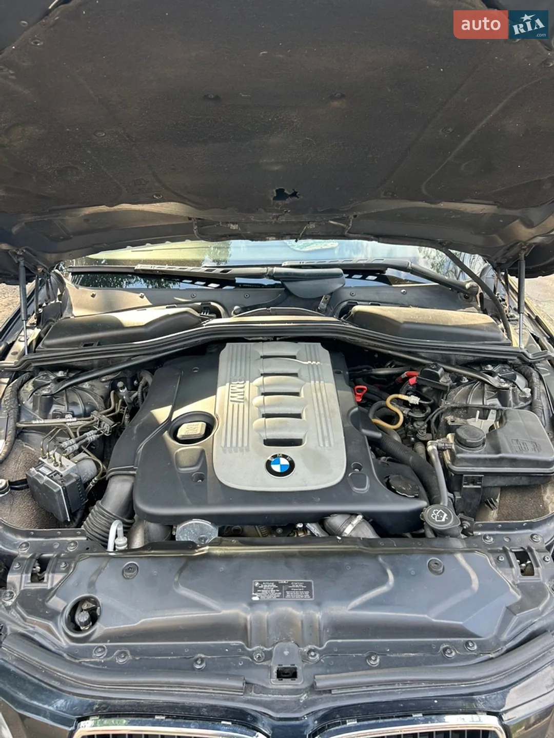 BMW 5 Series 2004 VIN WBANJ51080B404485 фото оголошення 19 з 22