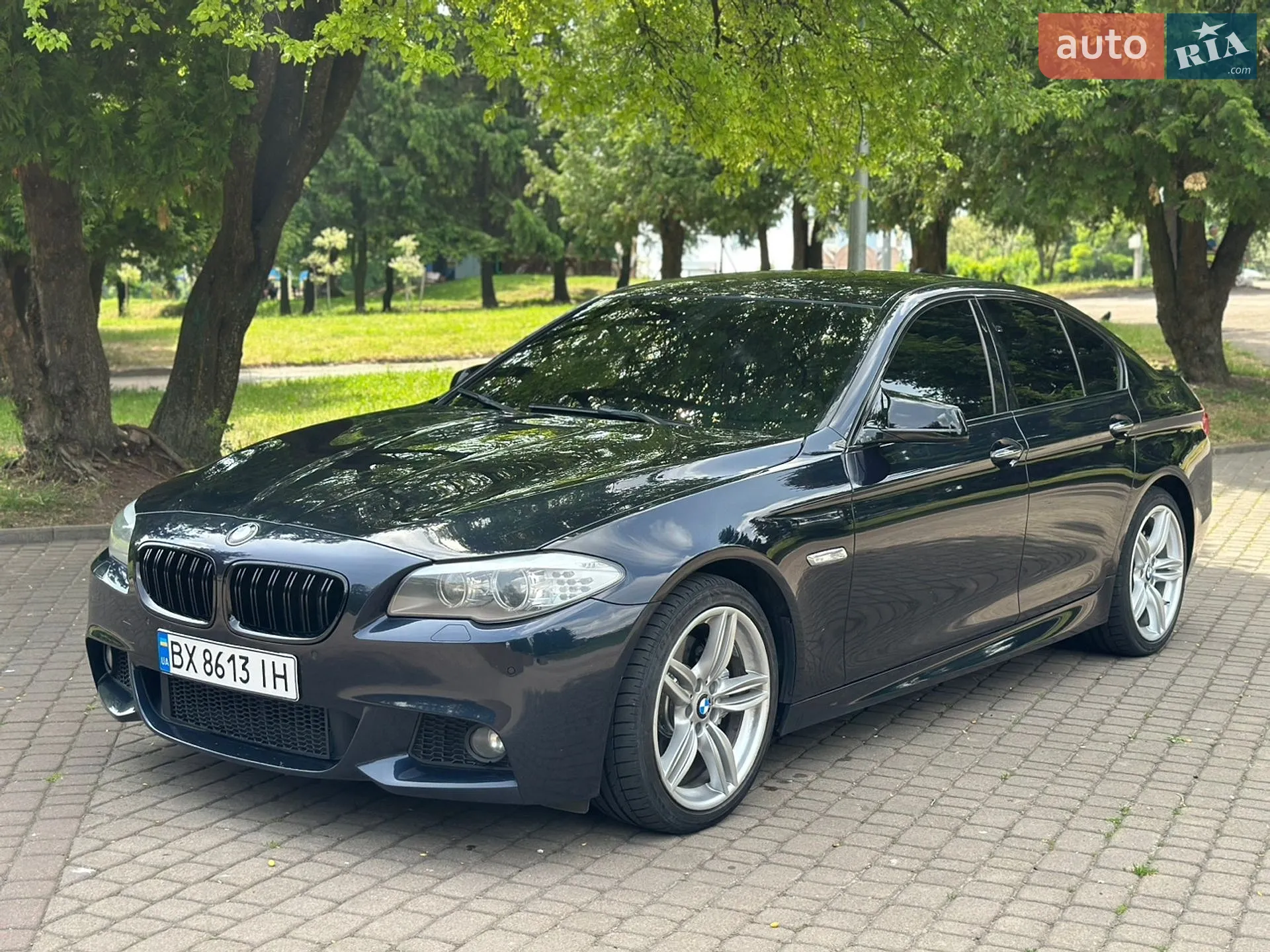 2013 BMW 5er - мініатюра 4