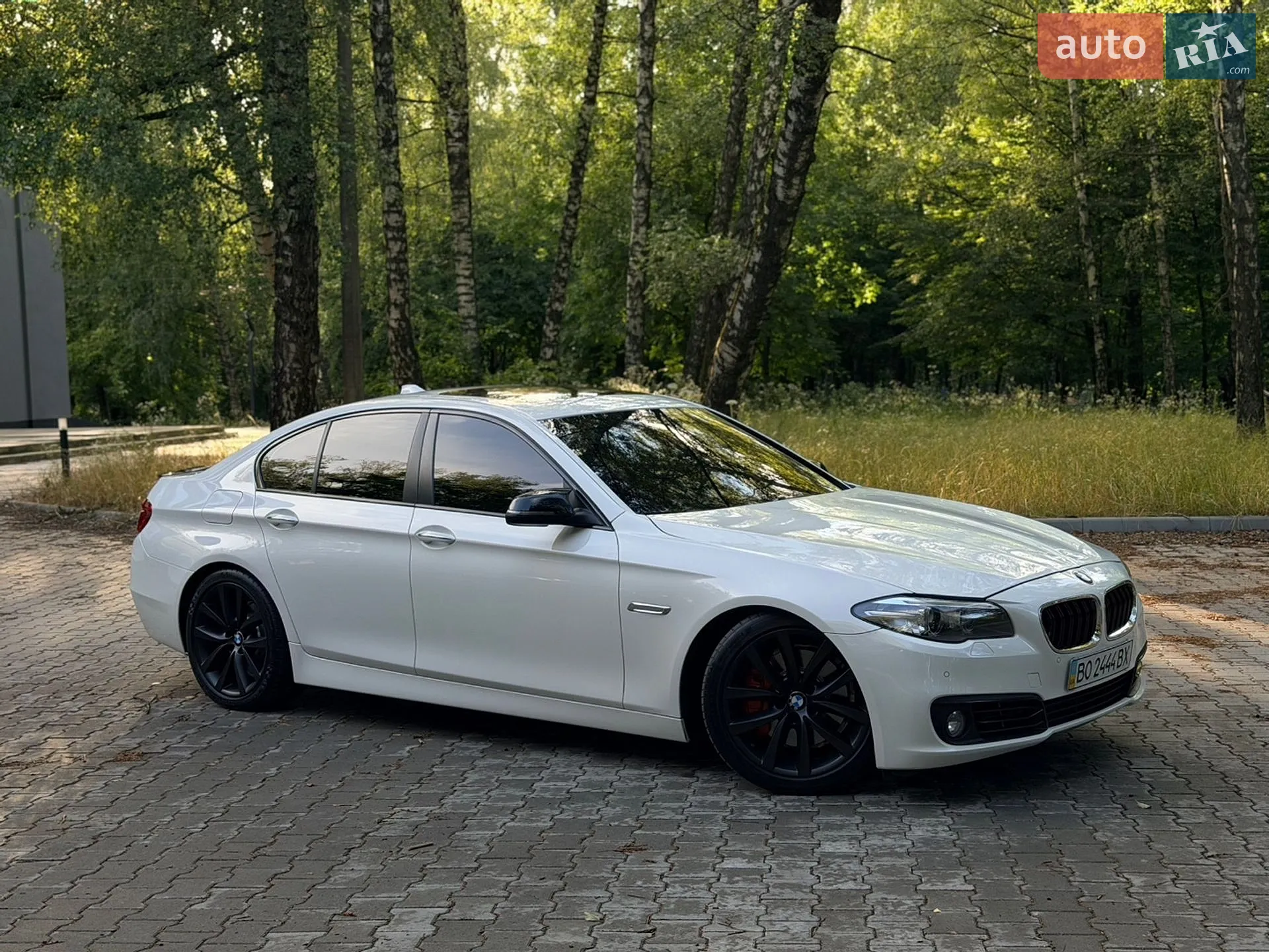 2015 BMW 5er - мініатюра 15