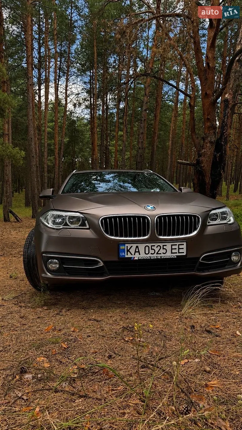 2013 BMW 5er - мініатюра 5