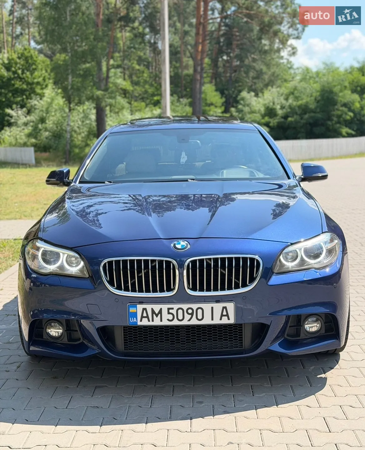 2015 BMW 5er - мініатюра 5