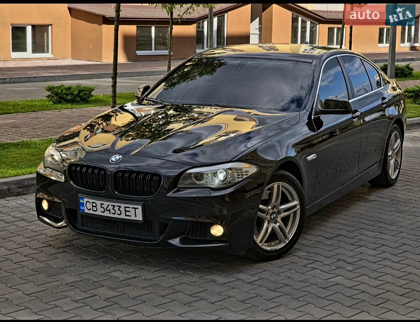2010 BMW 5er - мініатюра 3