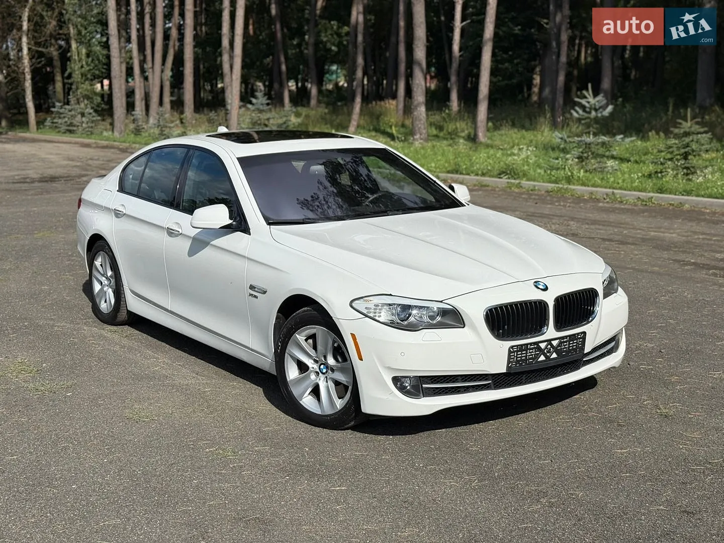 2010 BMW 5er - мініатюра 3