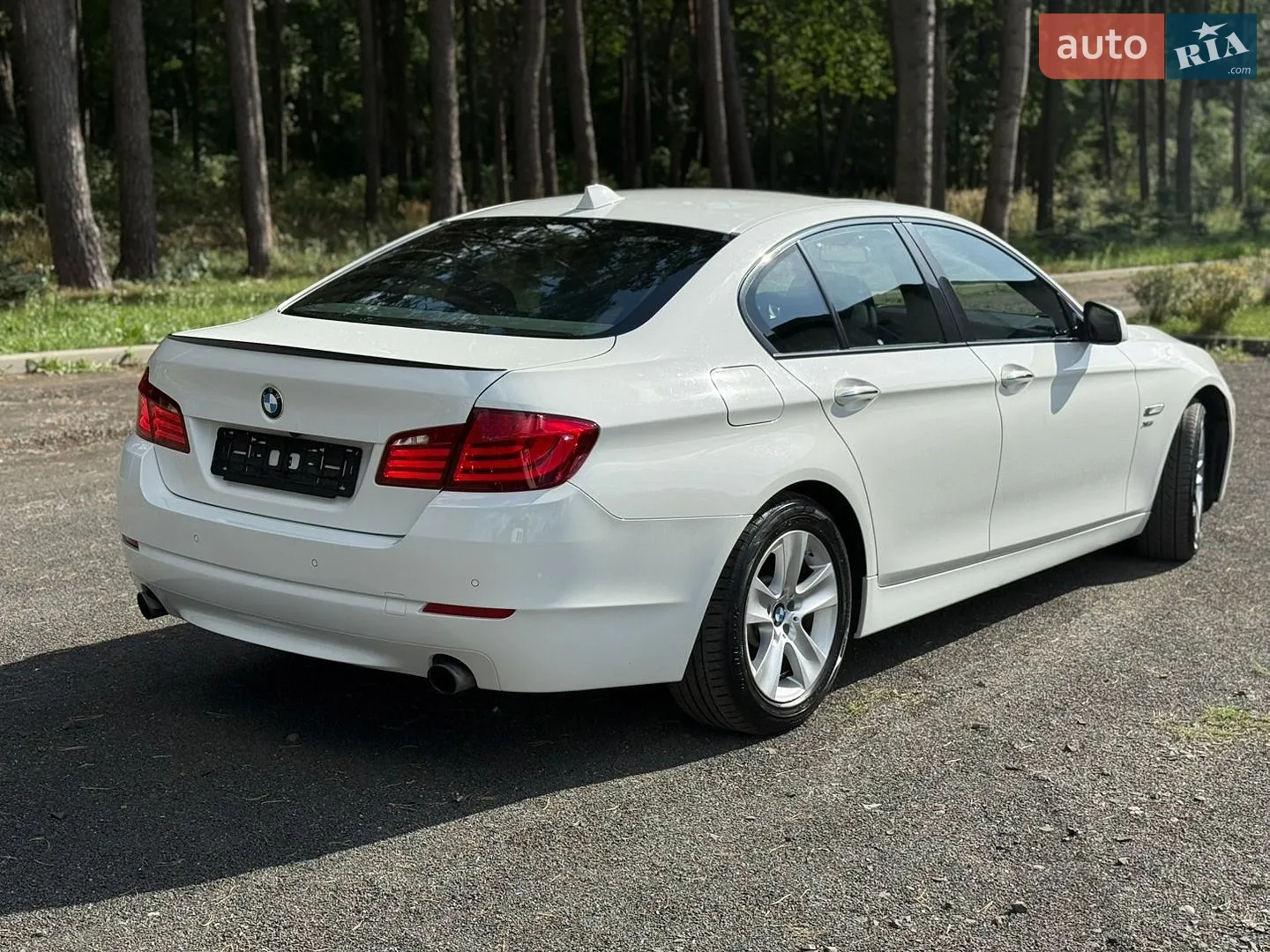 2010 BMW 5er - мініатюра 5