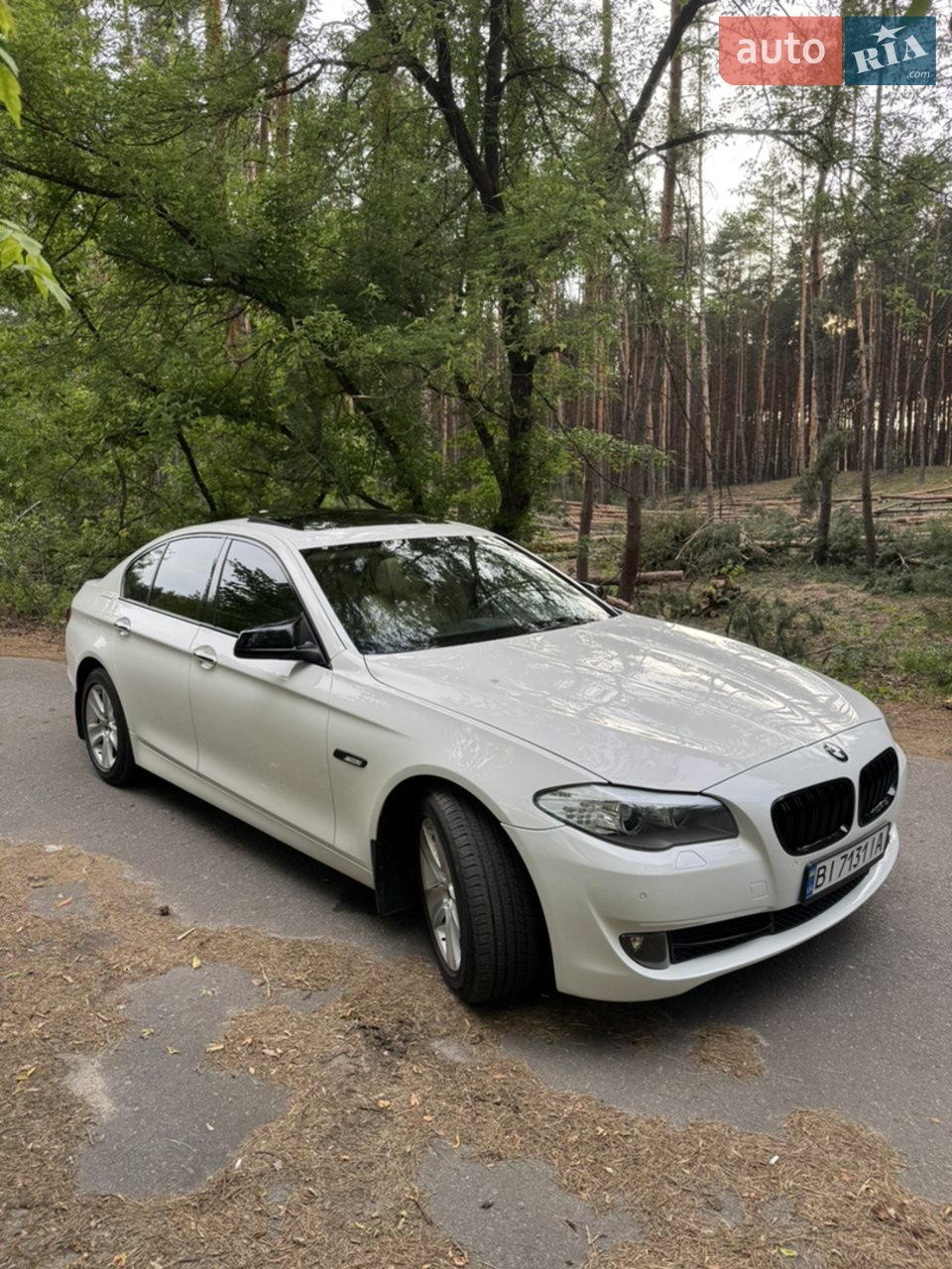 2013 BMW 5er - мініатюра 29