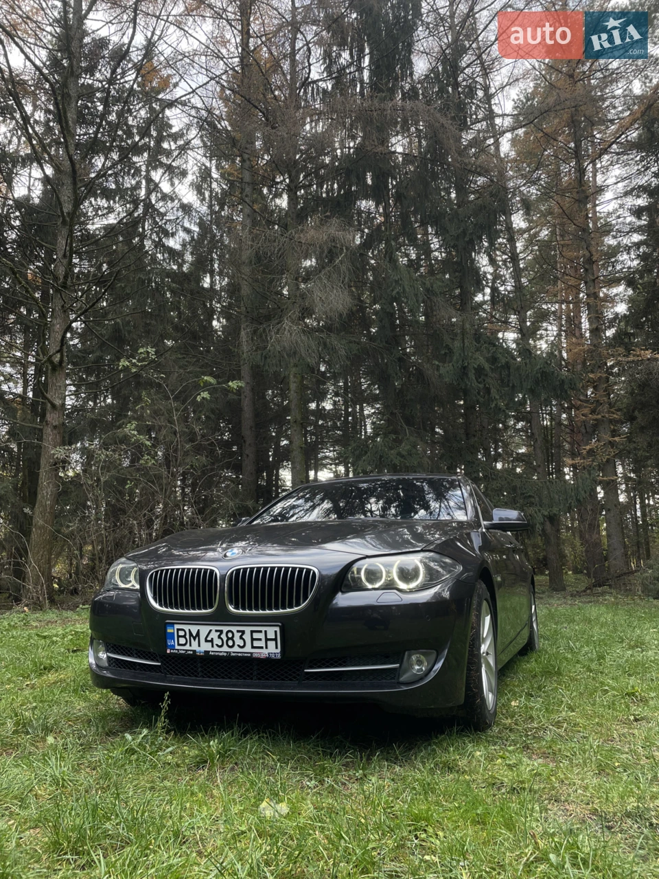 2013 BMW 5er - мініатюра 26