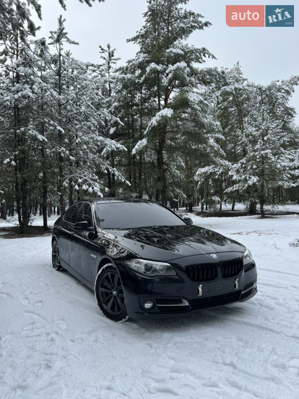 2015 BMW 5er - мініатюра 52