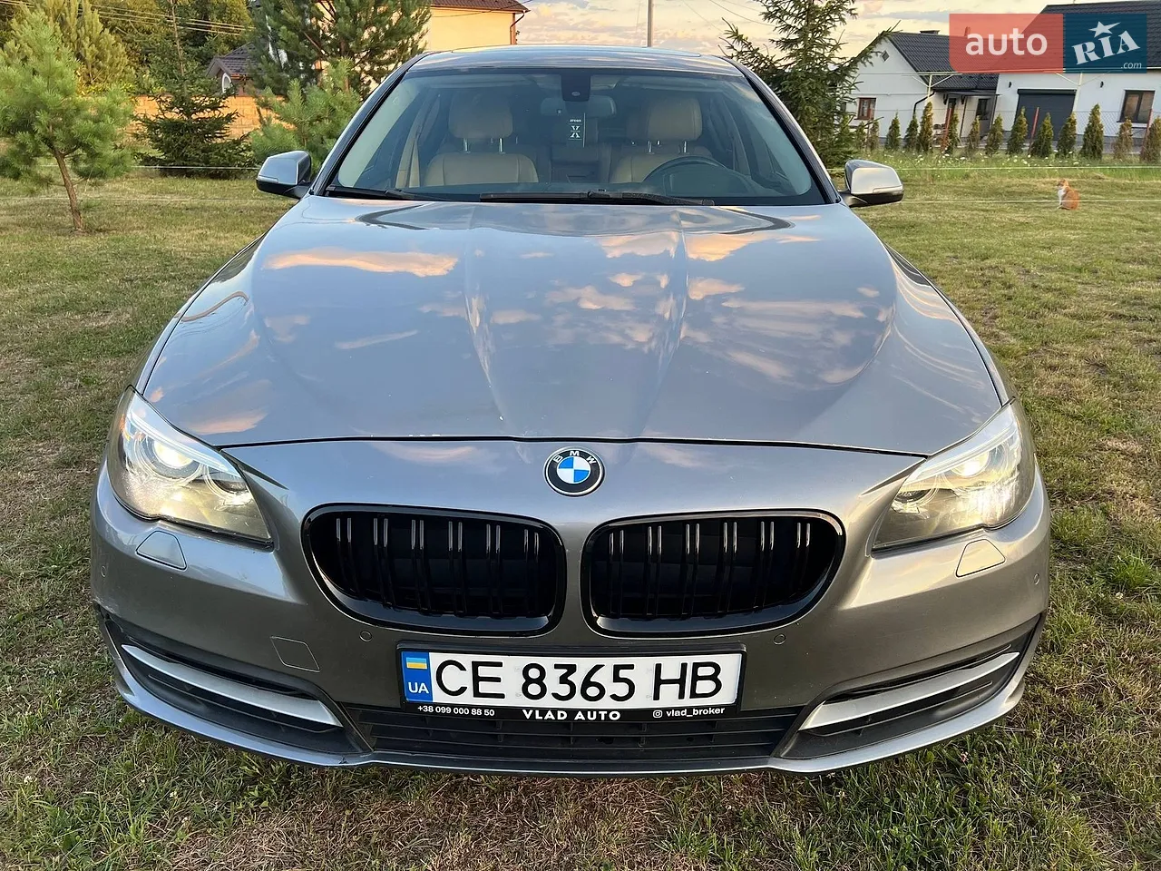 2013 BMW 5er - мініатюра 30