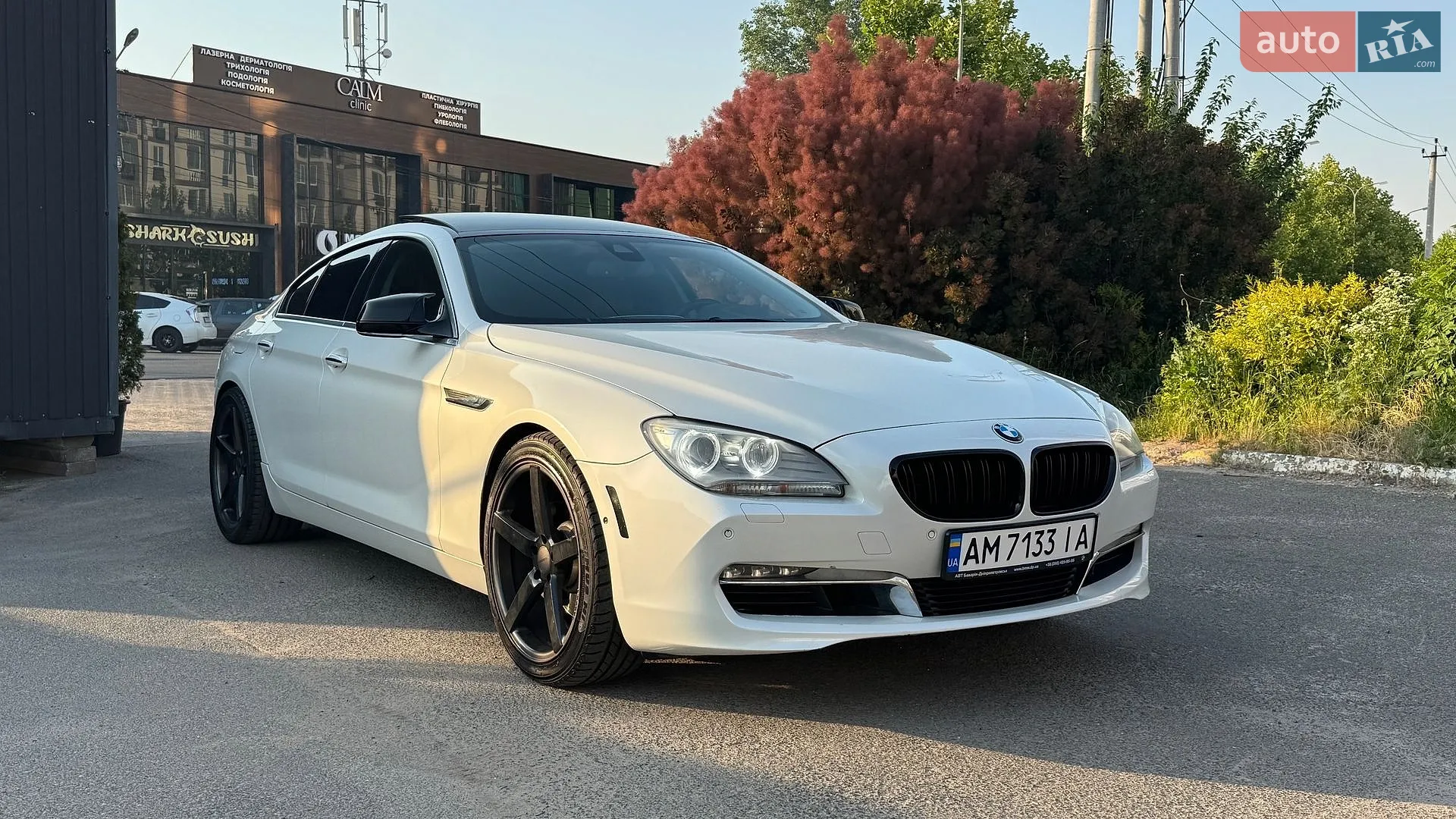 2013 BMW 6er - мініатюра 2