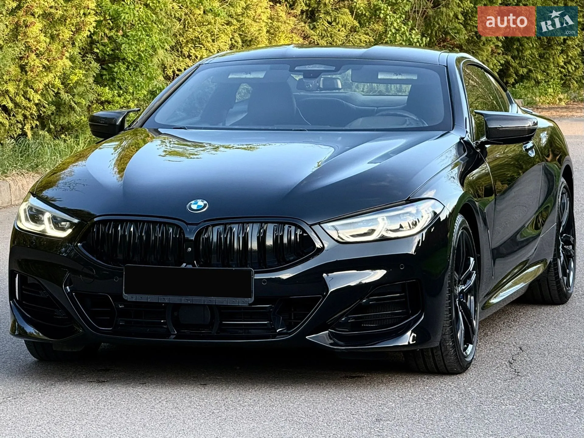 2019 BMW 8er - мініатюра 4