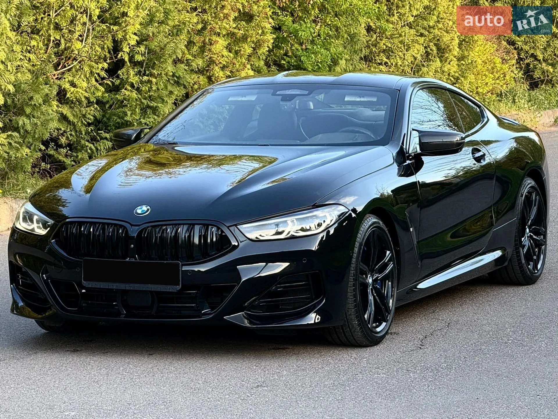 2019 BMW 8er - мініатюра 5