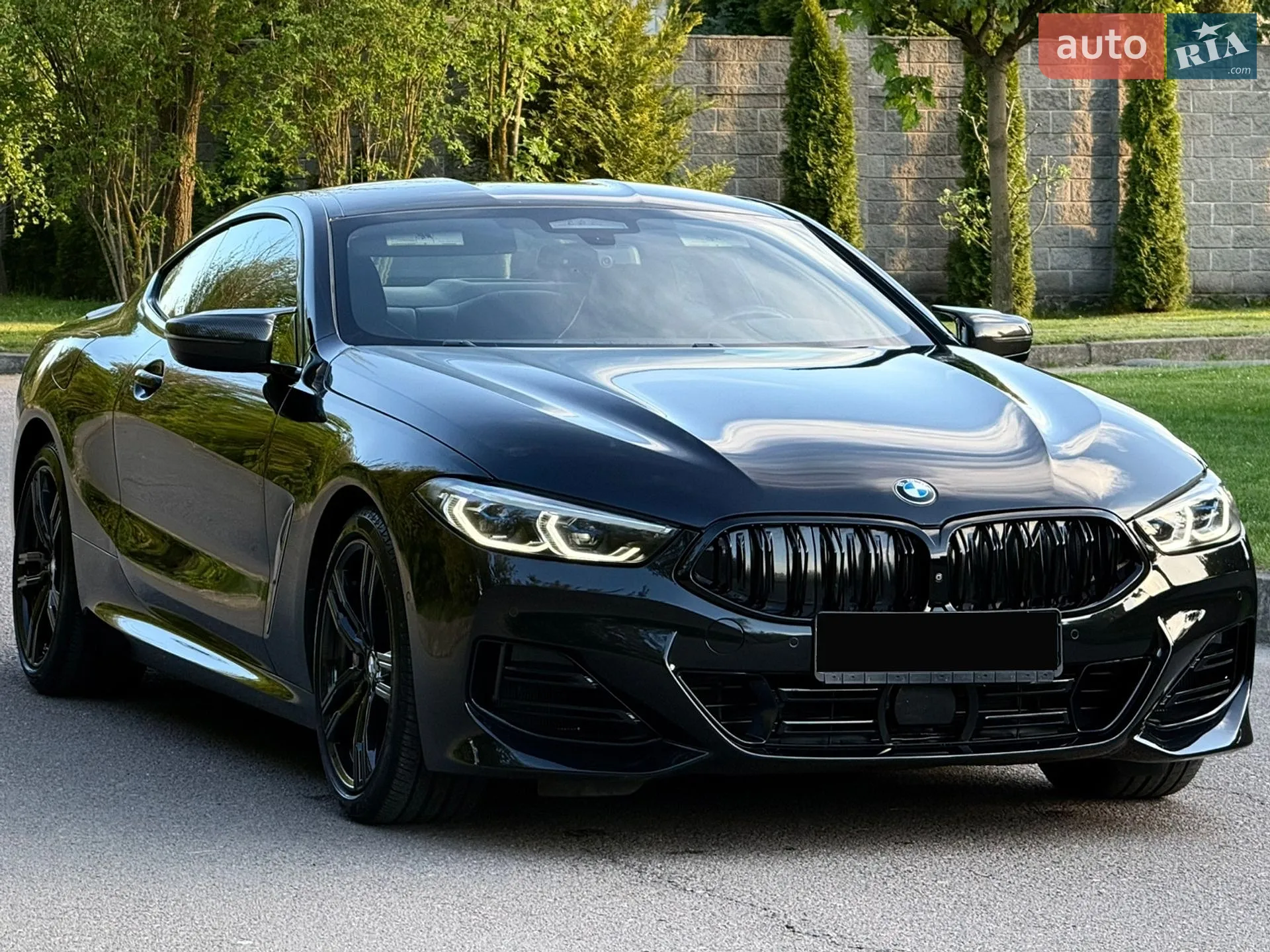 2019 BMW 8er - мініатюра 22