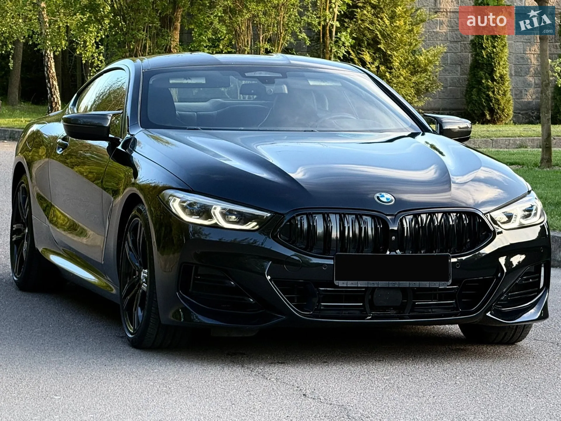 2019 BMW 8er - мініатюра 23