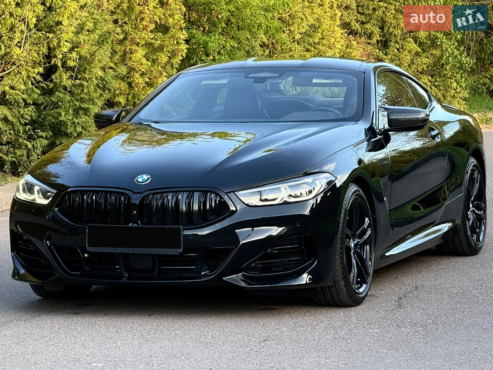 2019 BMW 8er - мініатюра 25