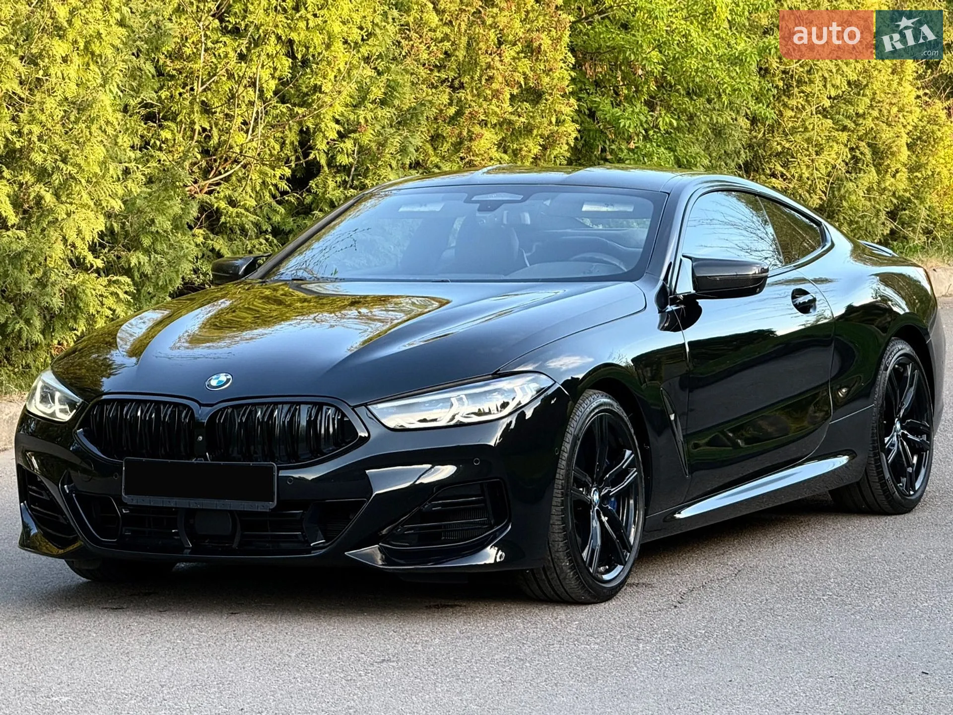 2019 BMW 8er - мініатюра 25