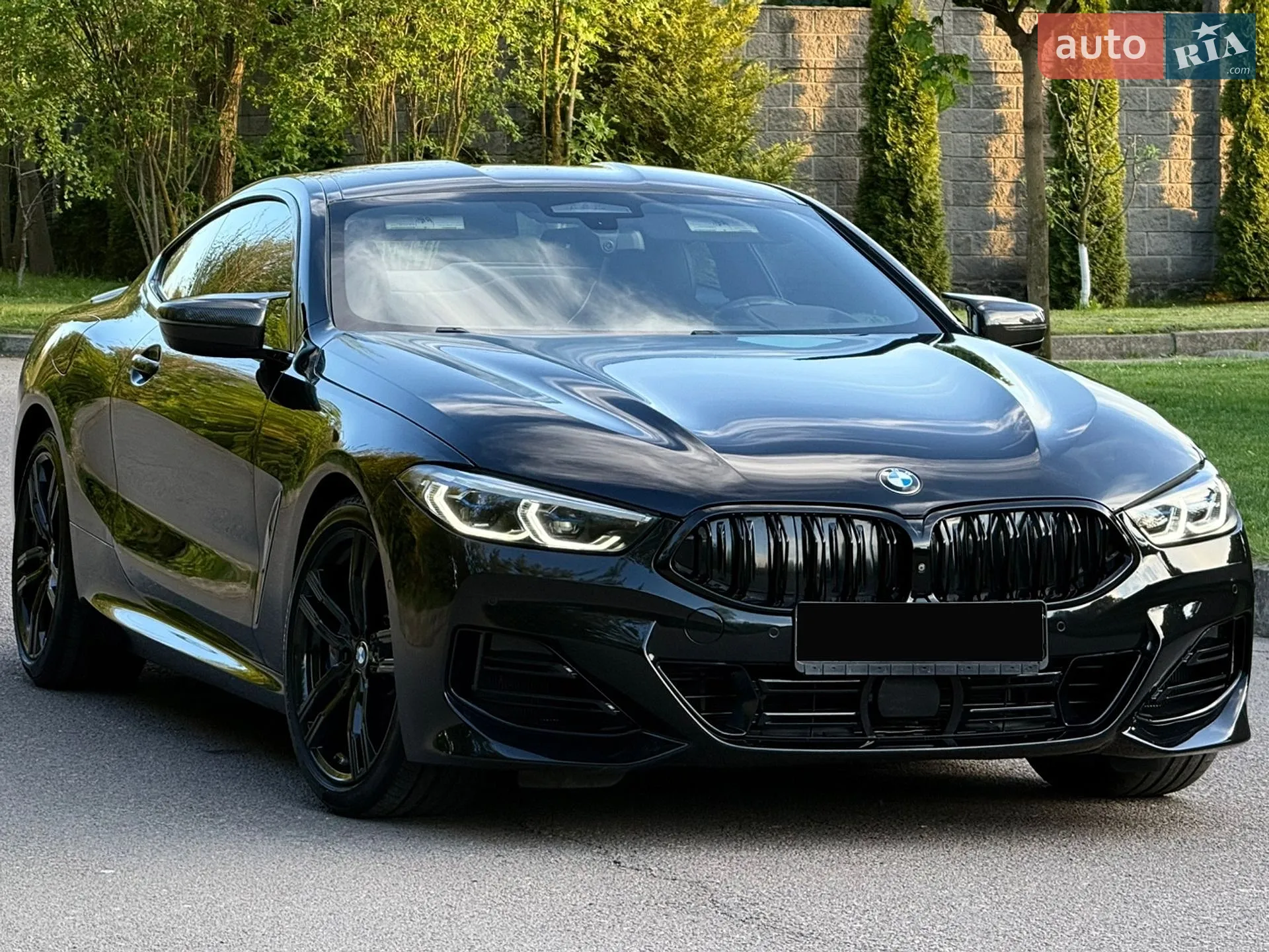 2019 BMW 8er - мініатюра 80