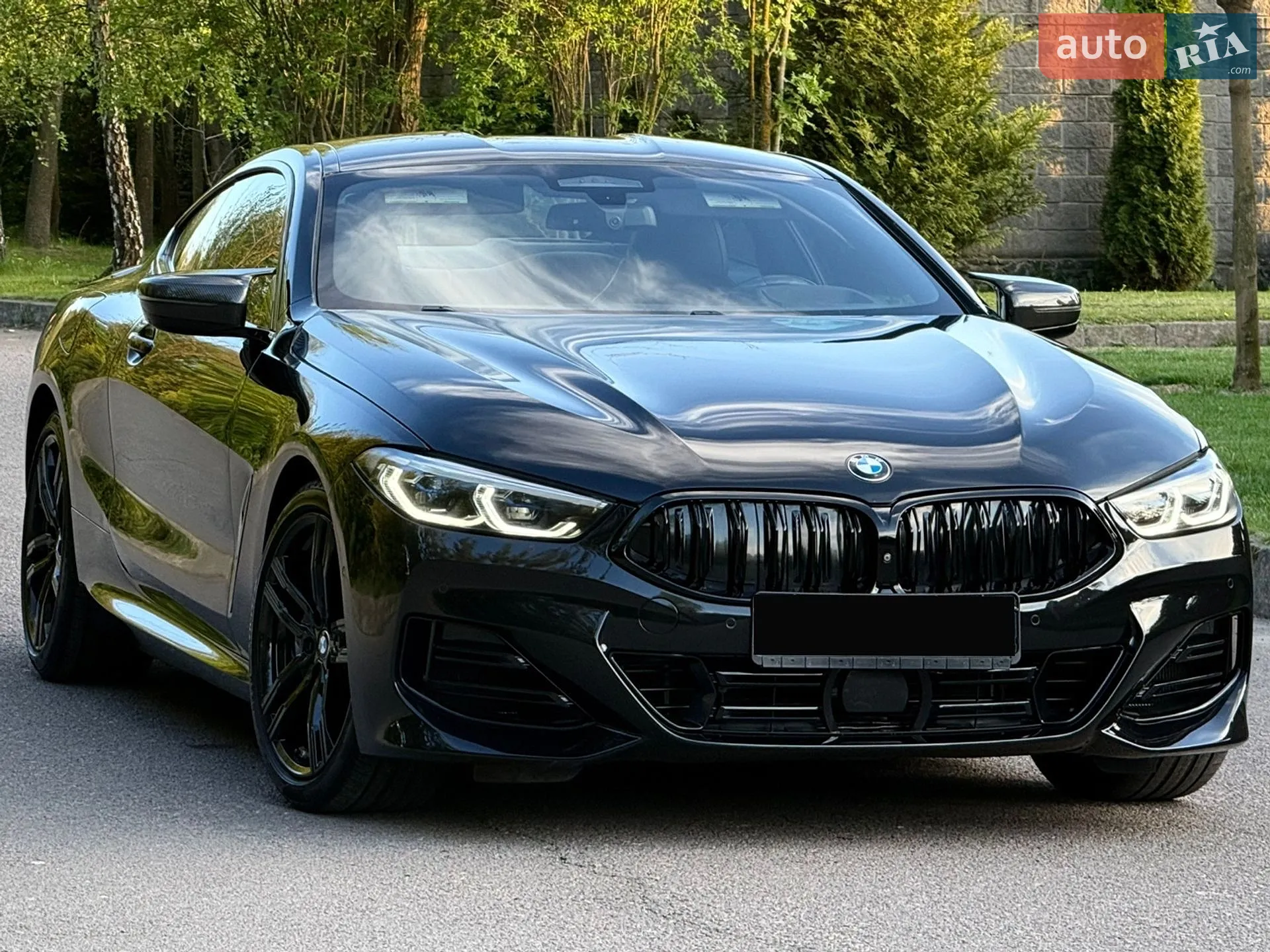 2019 BMW 8er - мініатюра 81