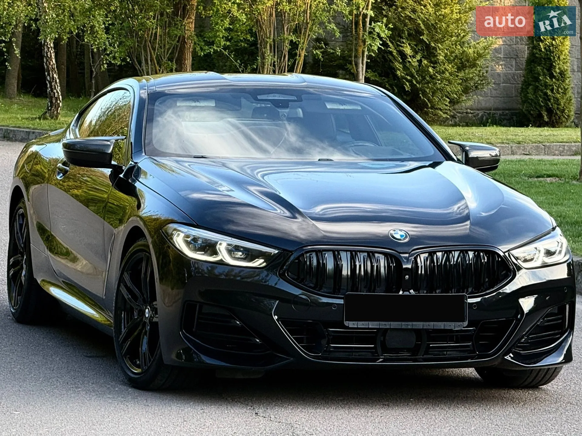 2019 BMW 8er - мініатюра 82