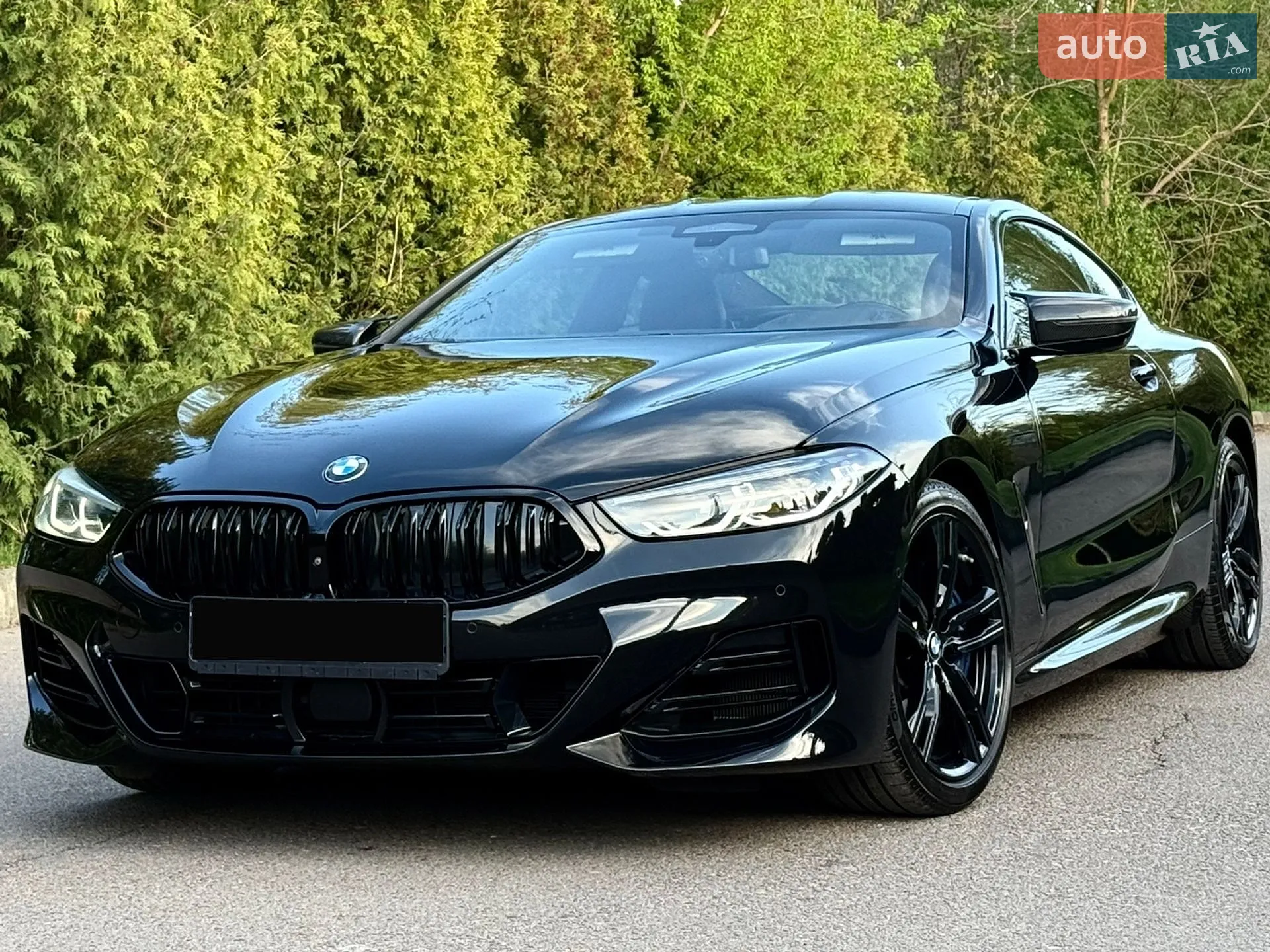 2019 BMW 8er - мініатюра 91