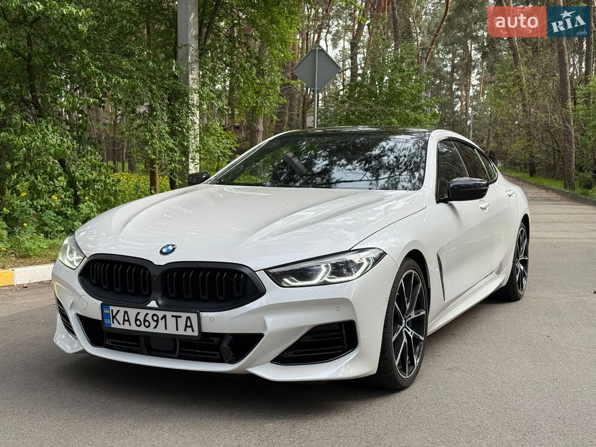 2019 BMW 8er - мініатюра 6