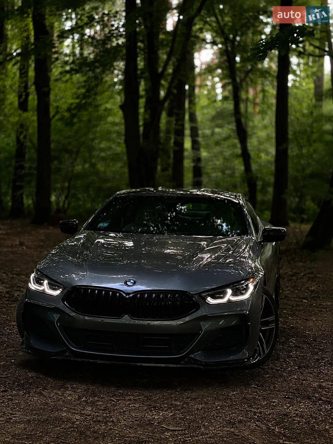 2022 BMW 8er - фото 1