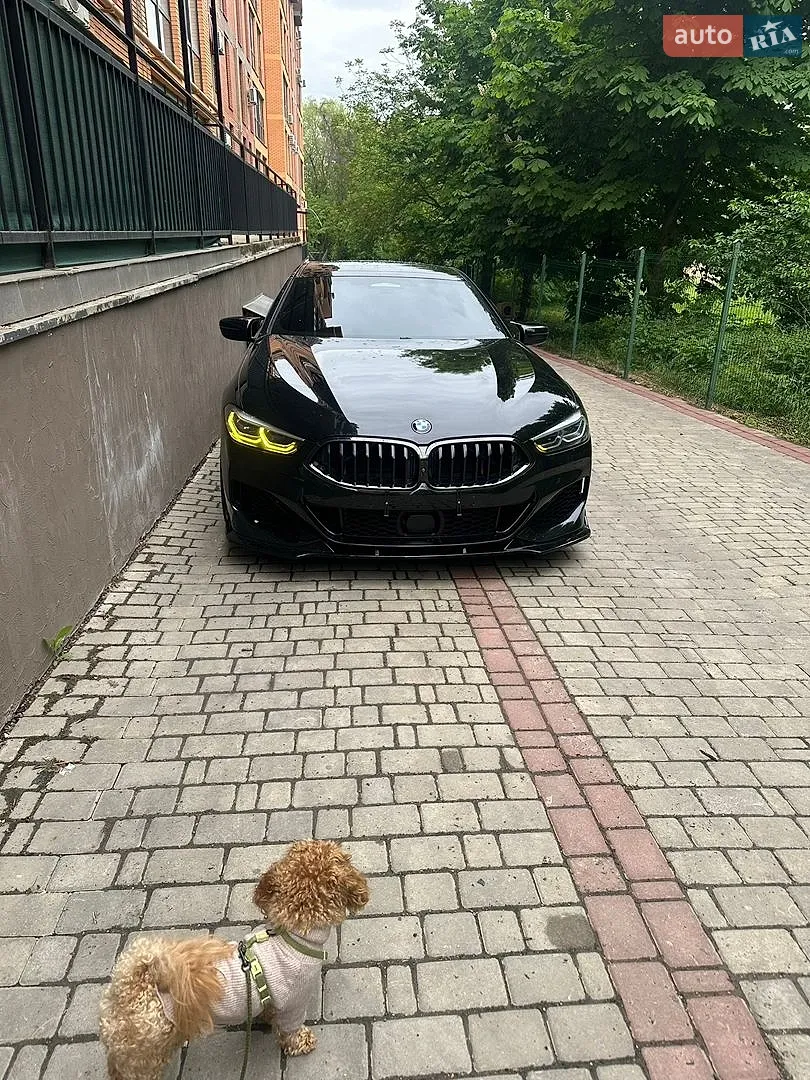 2019 BMW 8er - мініатюра 6