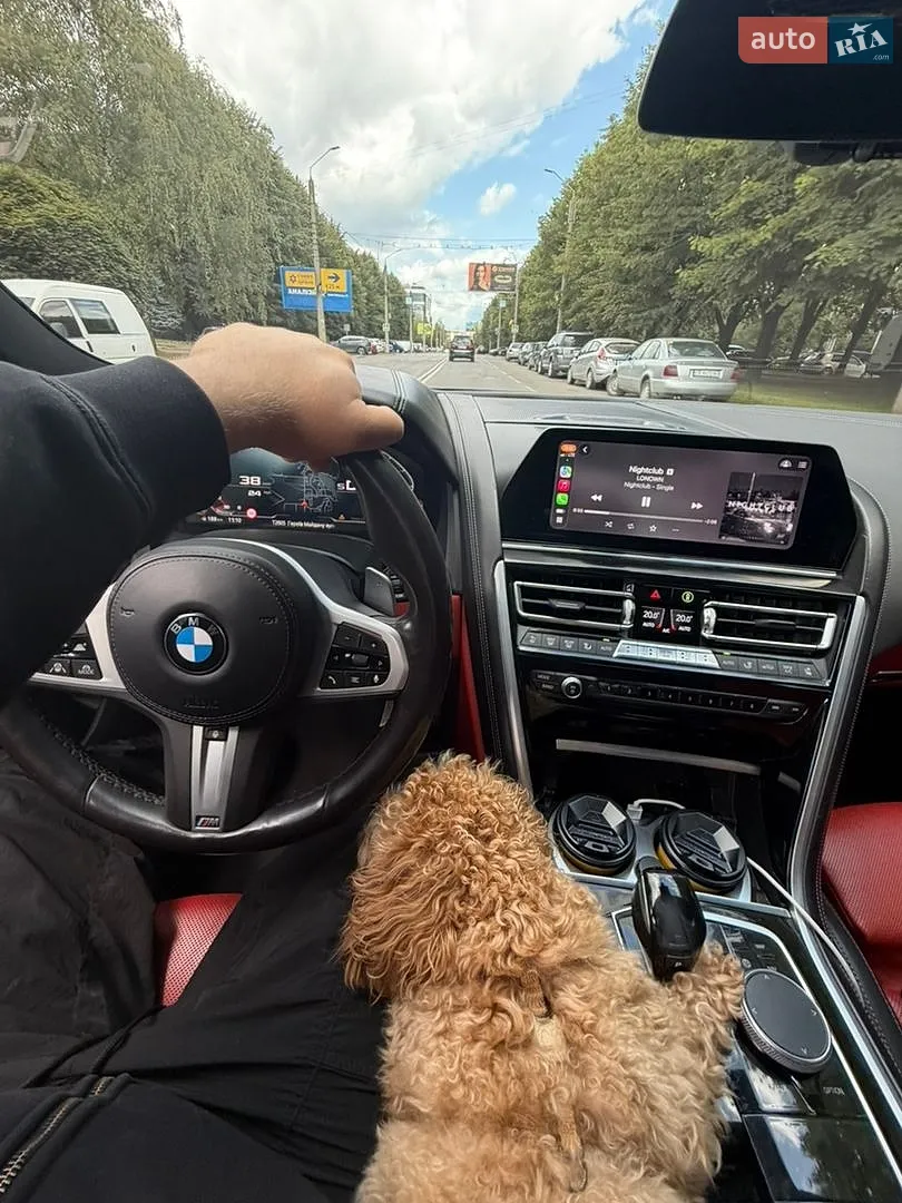 2019 BMW 8er - мініатюра 3