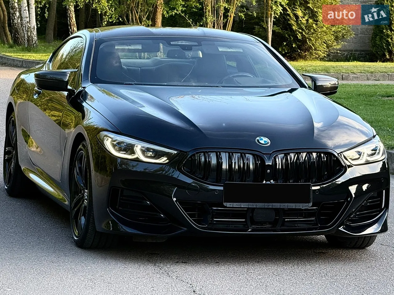 2019 BMW 8er - мініатюра 100