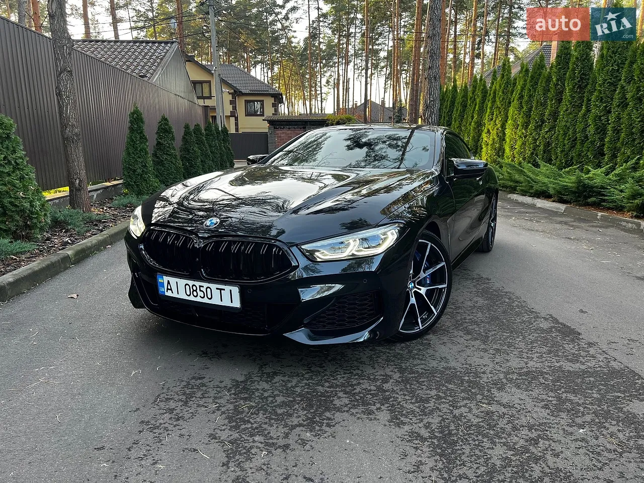 2019 BMW 8er - мініатюра 19