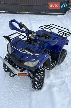 Квадроцикл  утилитарный BMW C 600 Sport 2020 в Заречном