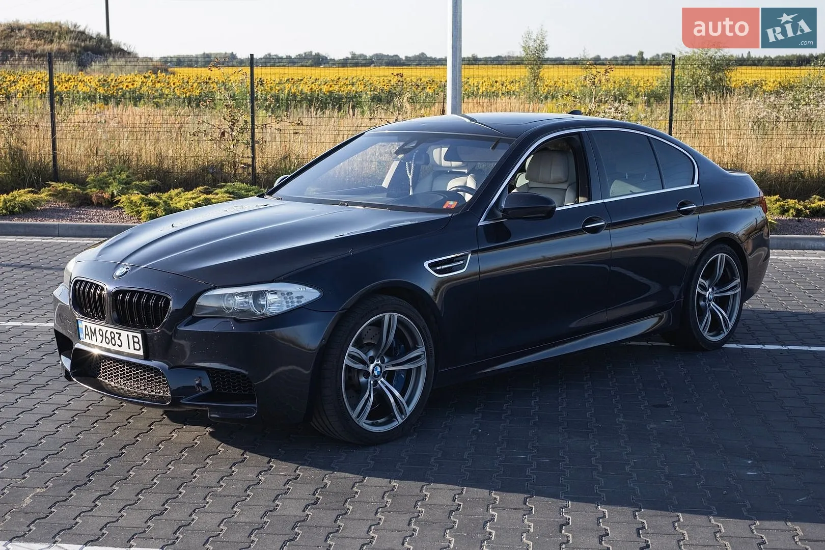 2012 BMW M5 - мініатюра 2