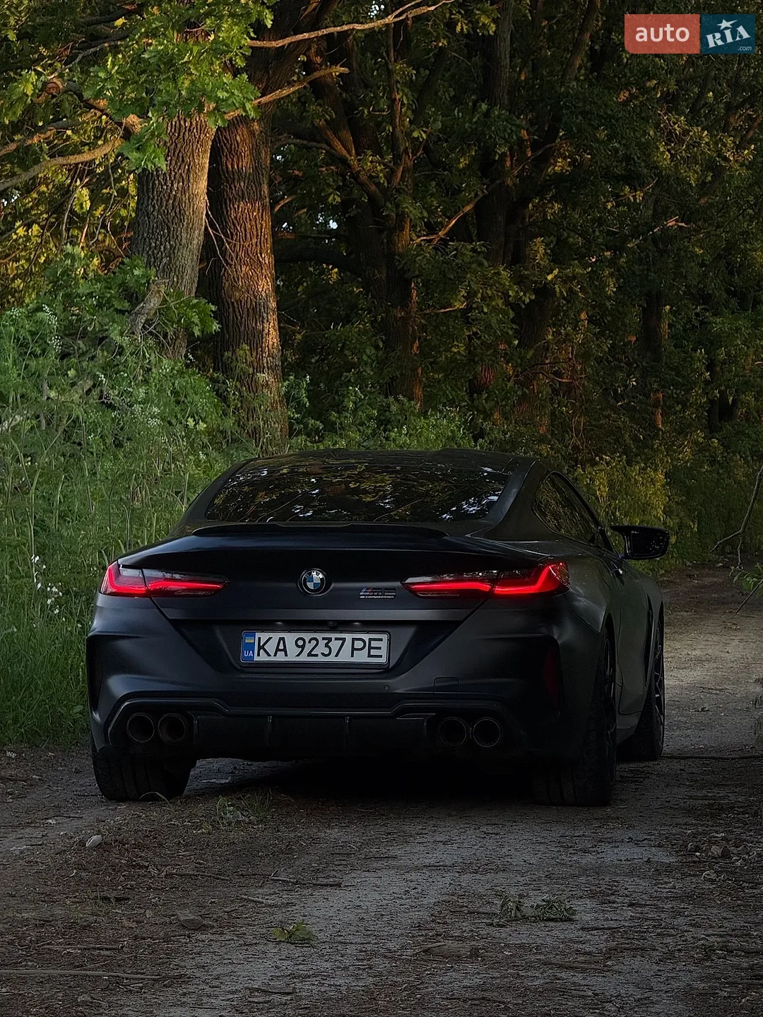 2019 BMW M8 - мініатюра 4