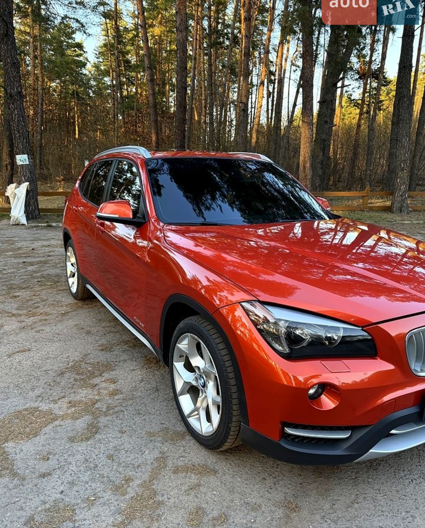 2013 BMW X1 - мініатюра 2