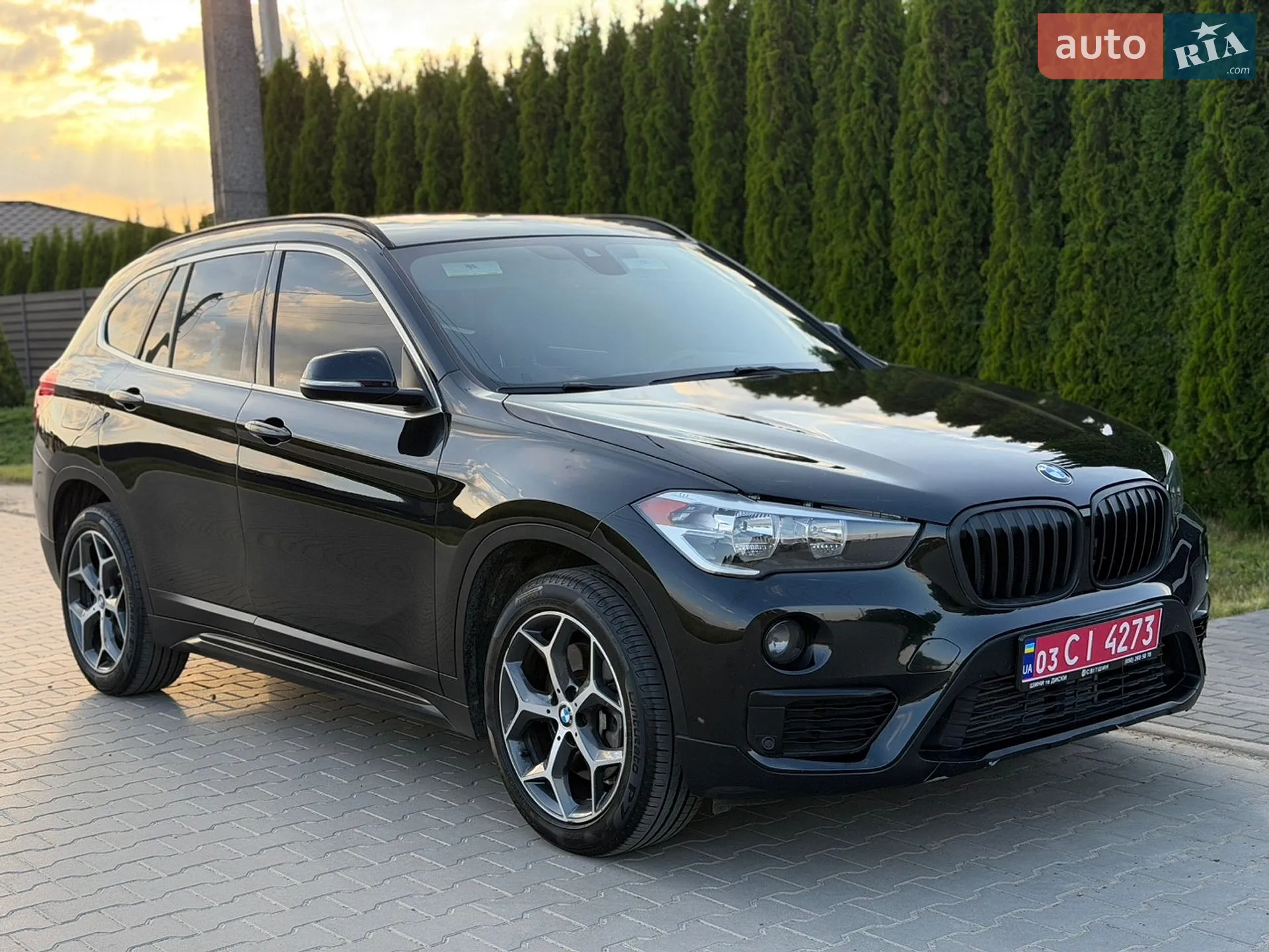 2019 BMW X1 - мініатюра 2