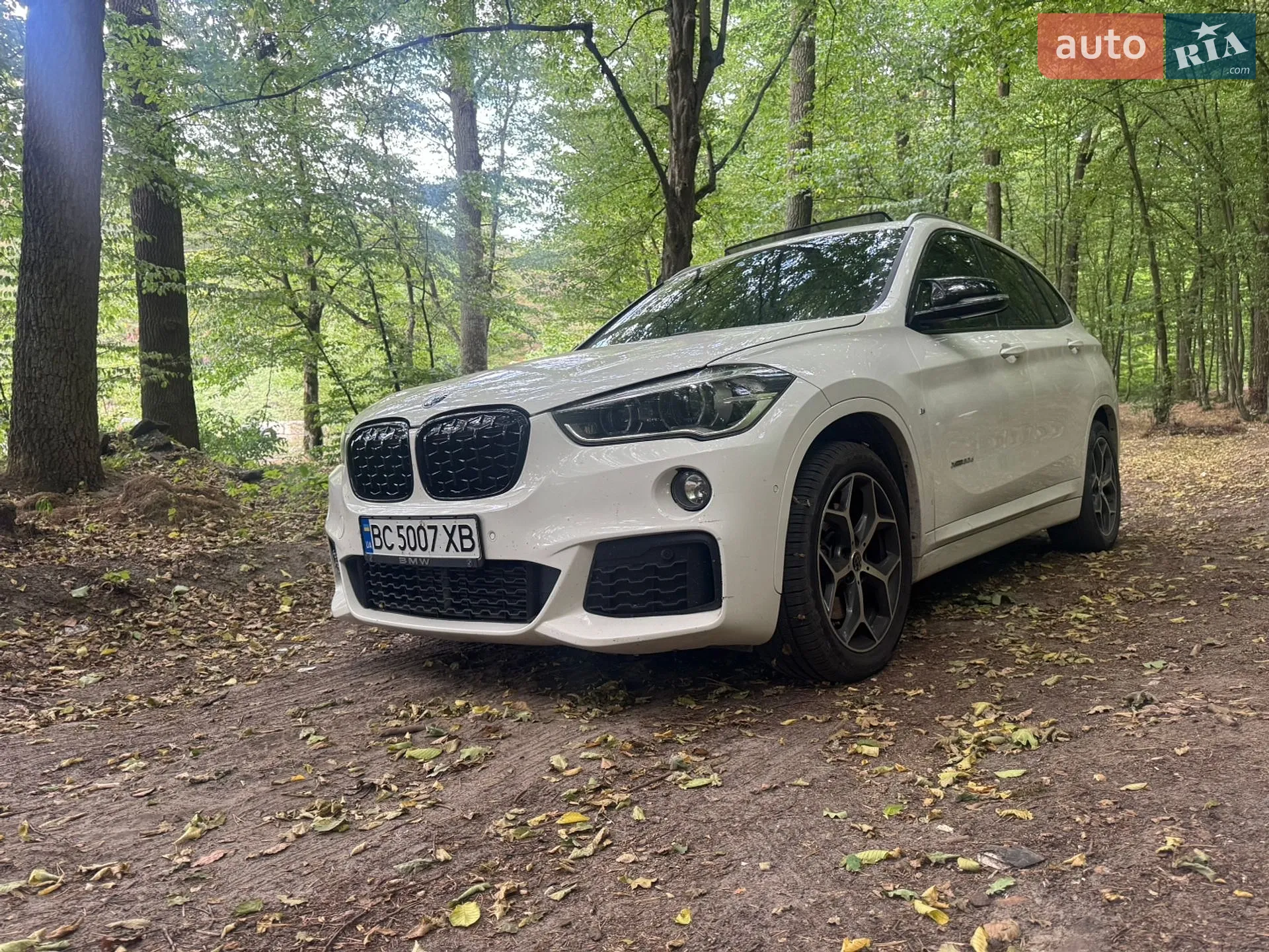 2016 BMW X1 - фото 1