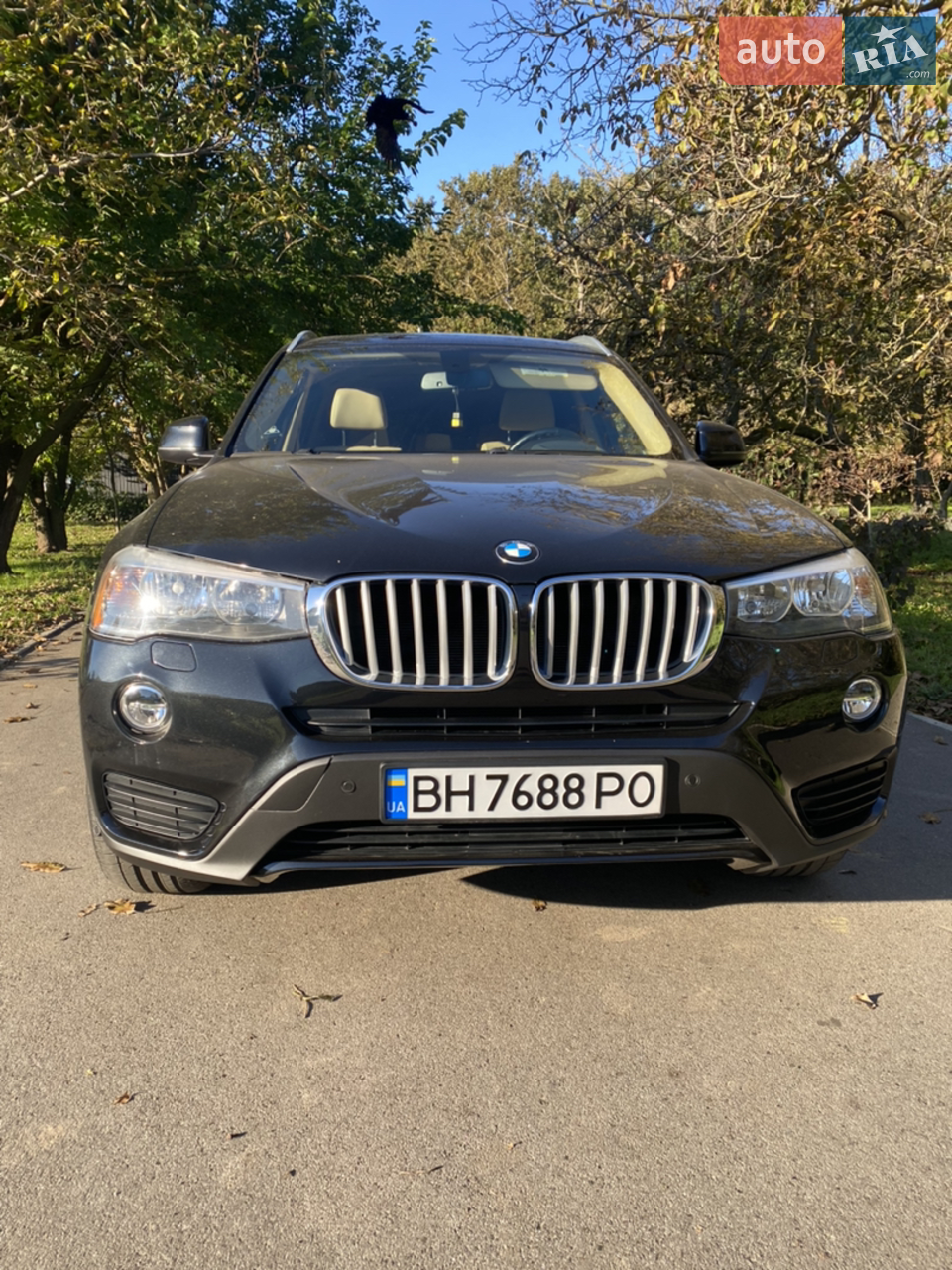 2016 BMW X3 - мініатюра 35