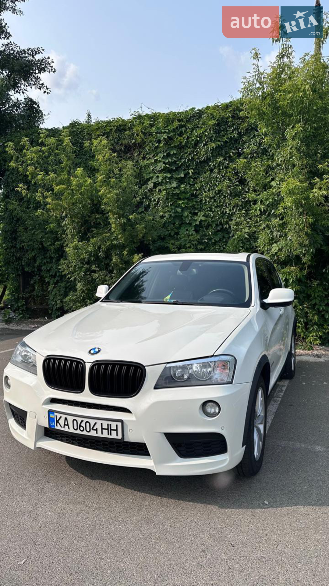 2013 BMW X3 - мініатюра 2