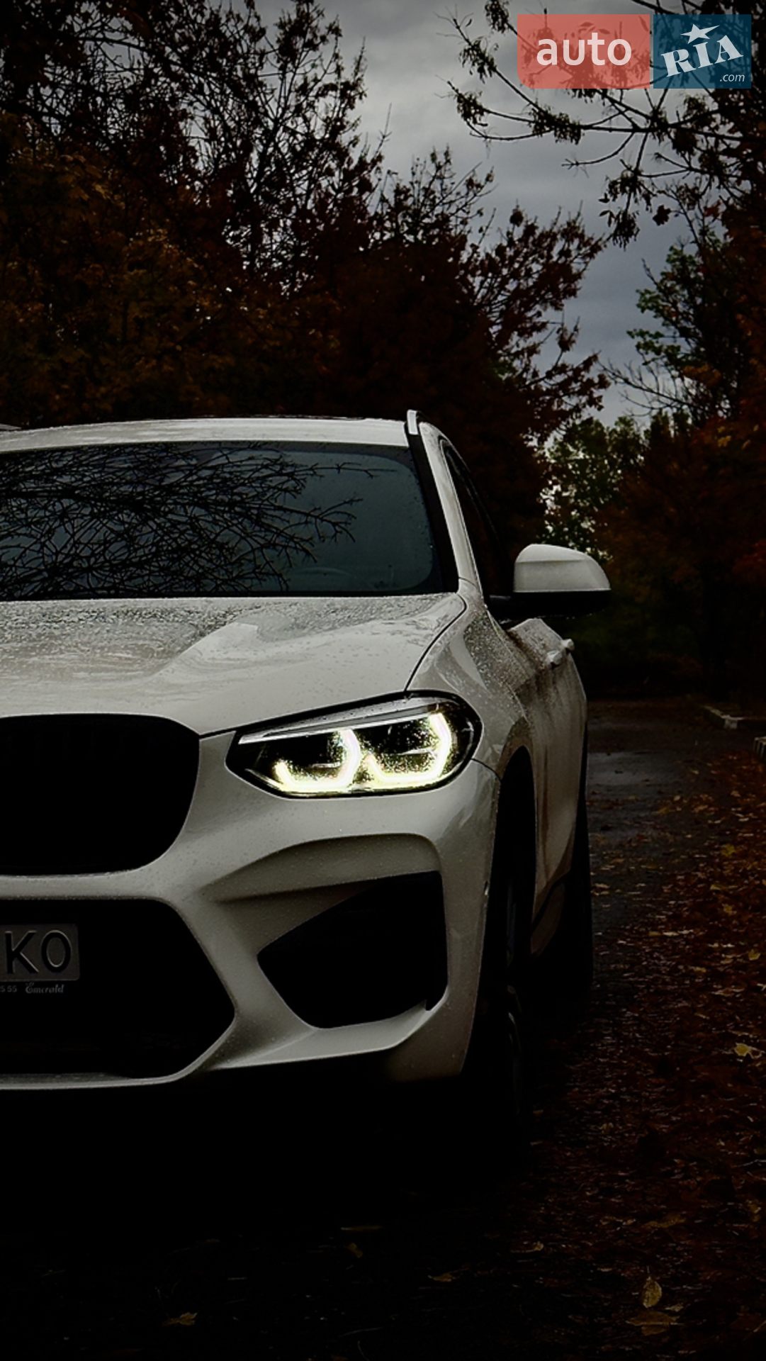 2018 BMW X3 - фото 1