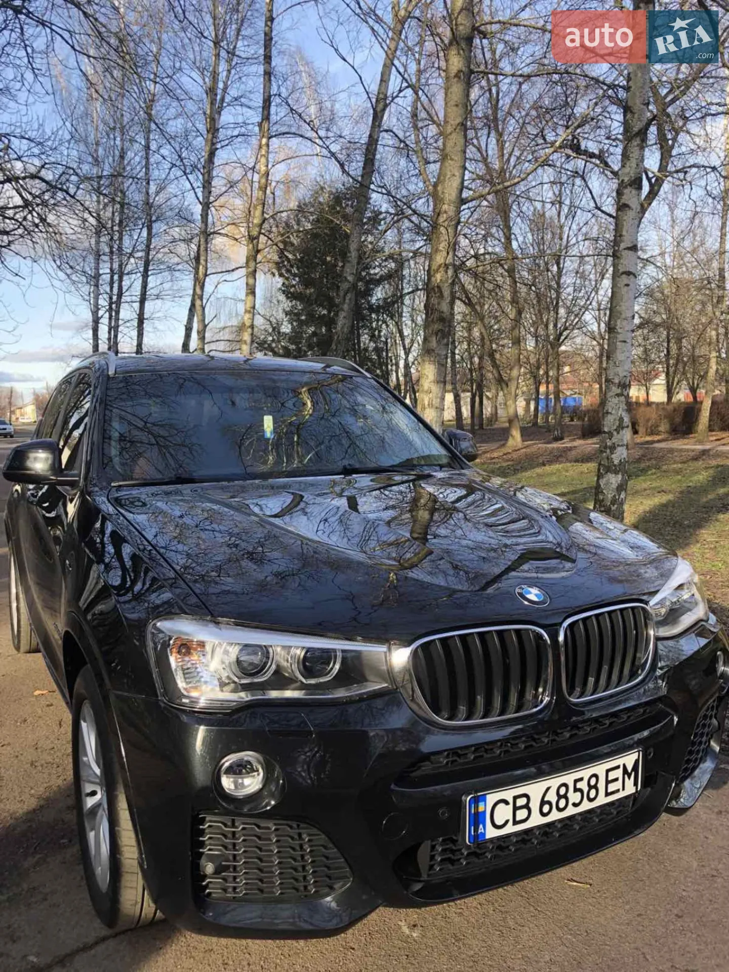 2015 BMW X3 - мініатюра 10