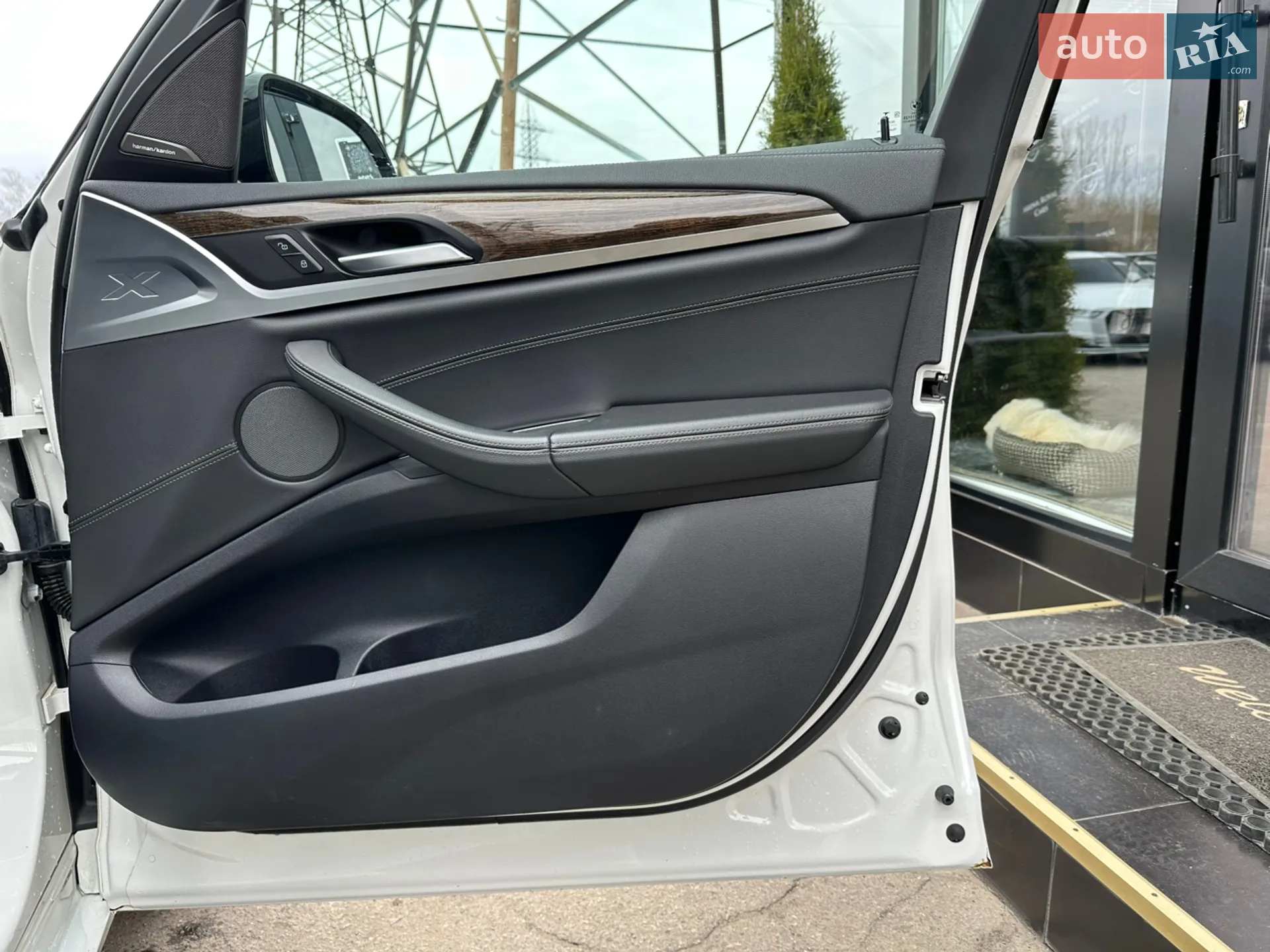 2019 BMW X3 - мініатюра 25