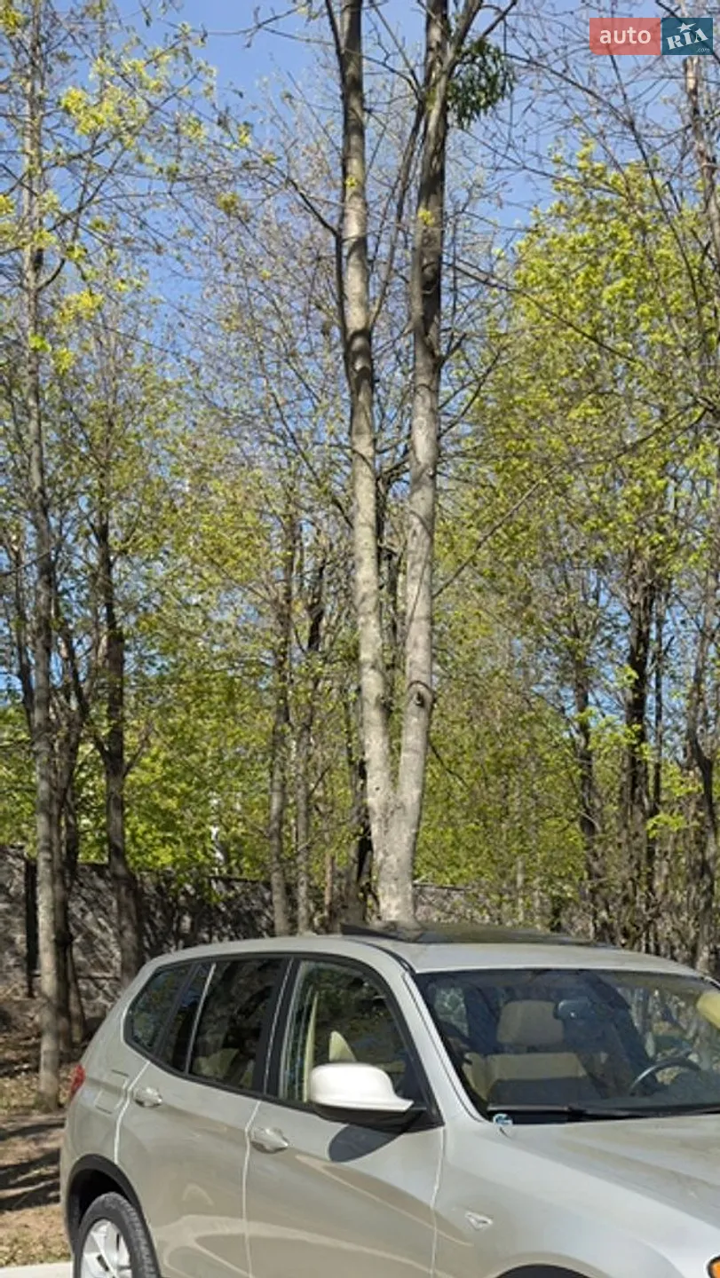 2011 BMW X3 - мініатюра 2
