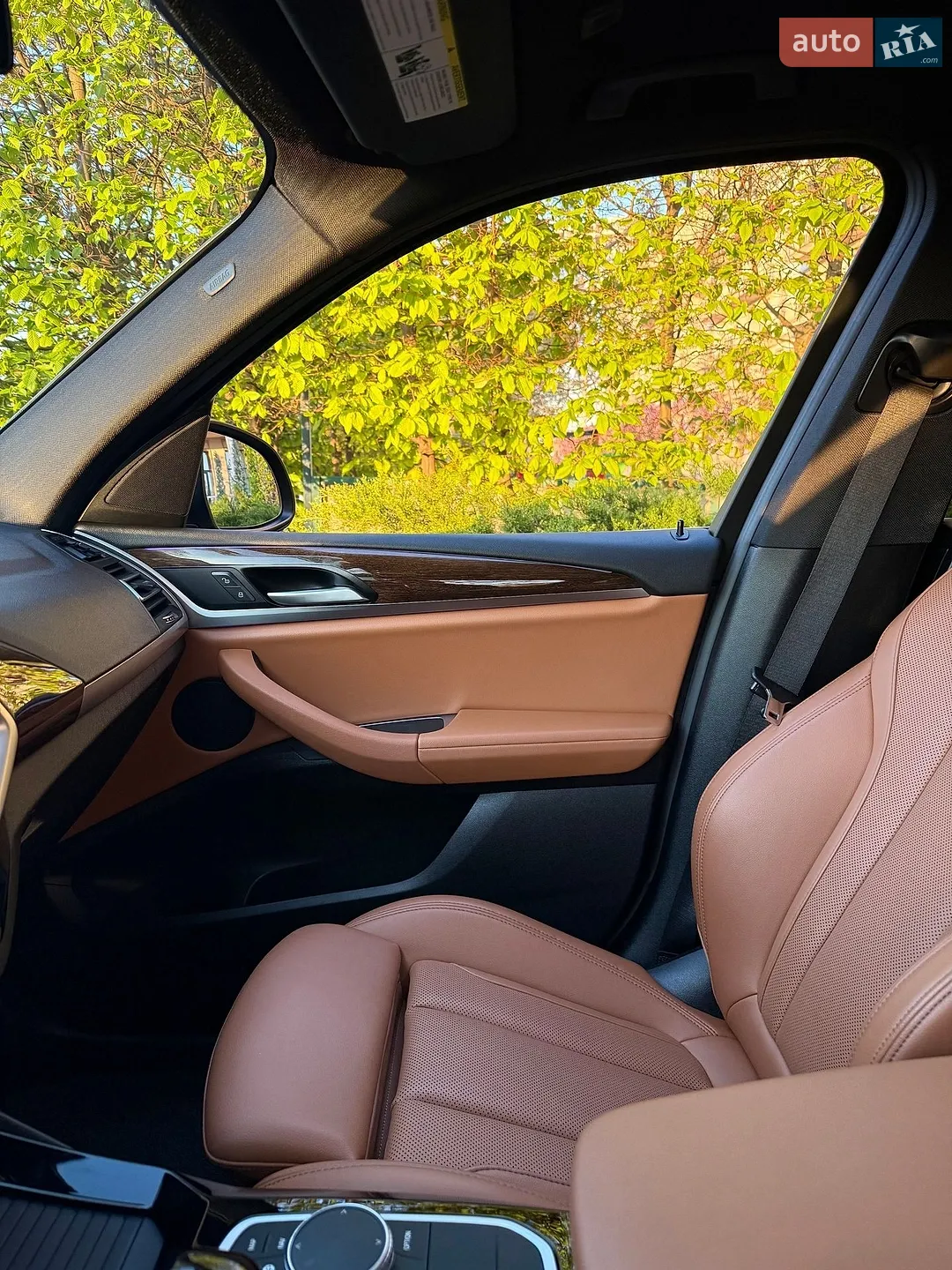 2021 BMW X3 - мініатюра 38
