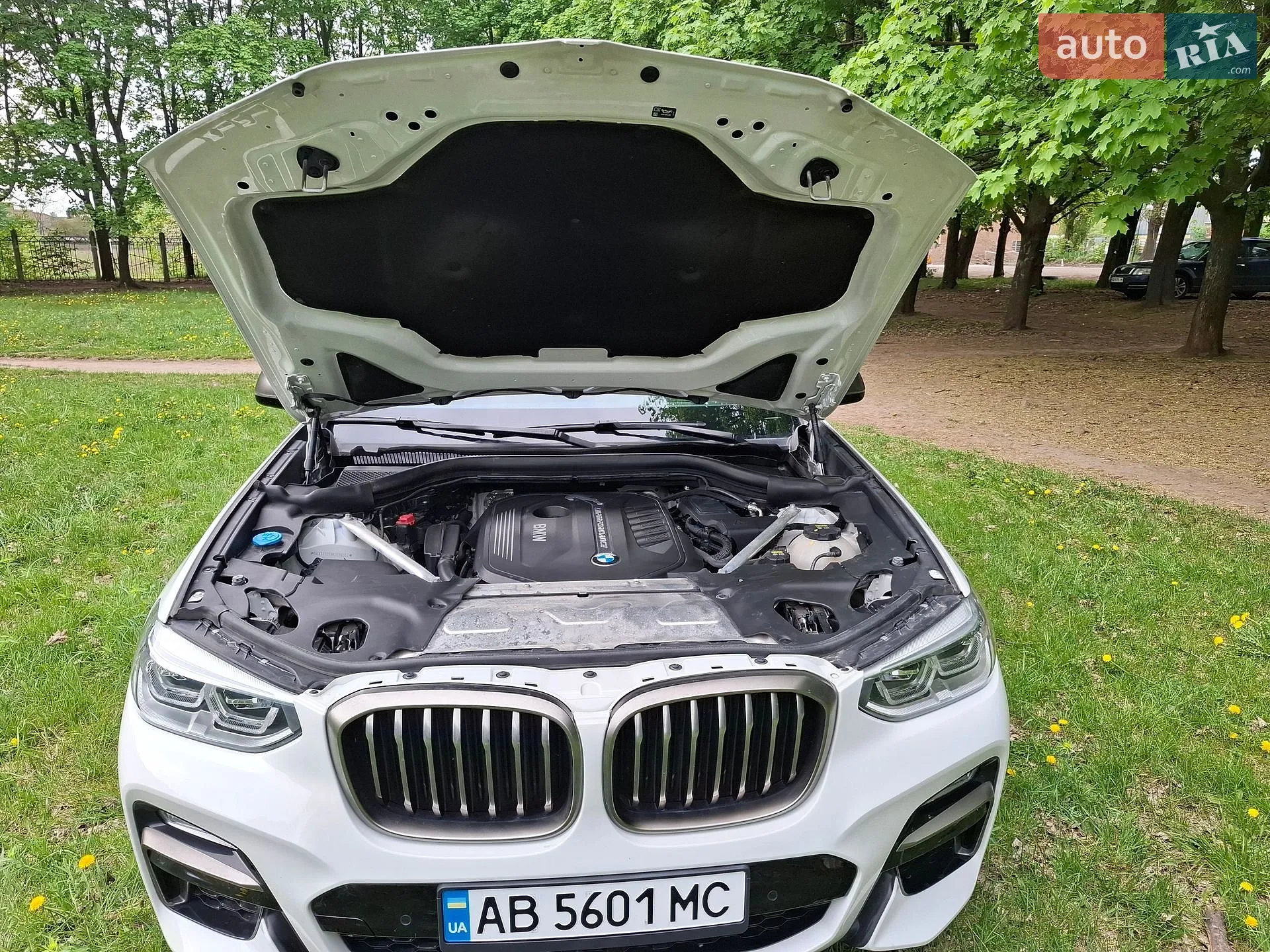 2018 BMW X3 - мініатюра 71