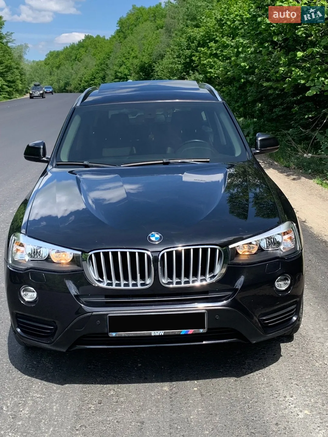 2014 BMW X3 - мініатюра 3