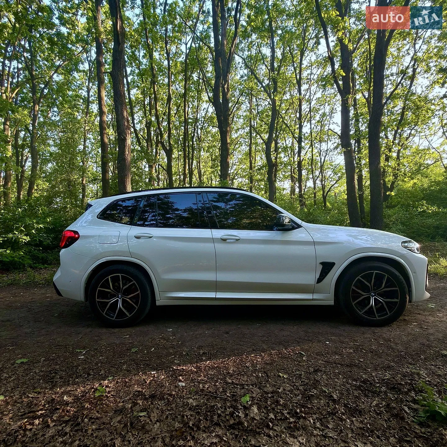 2019 BMW X3 - мініатюра 12