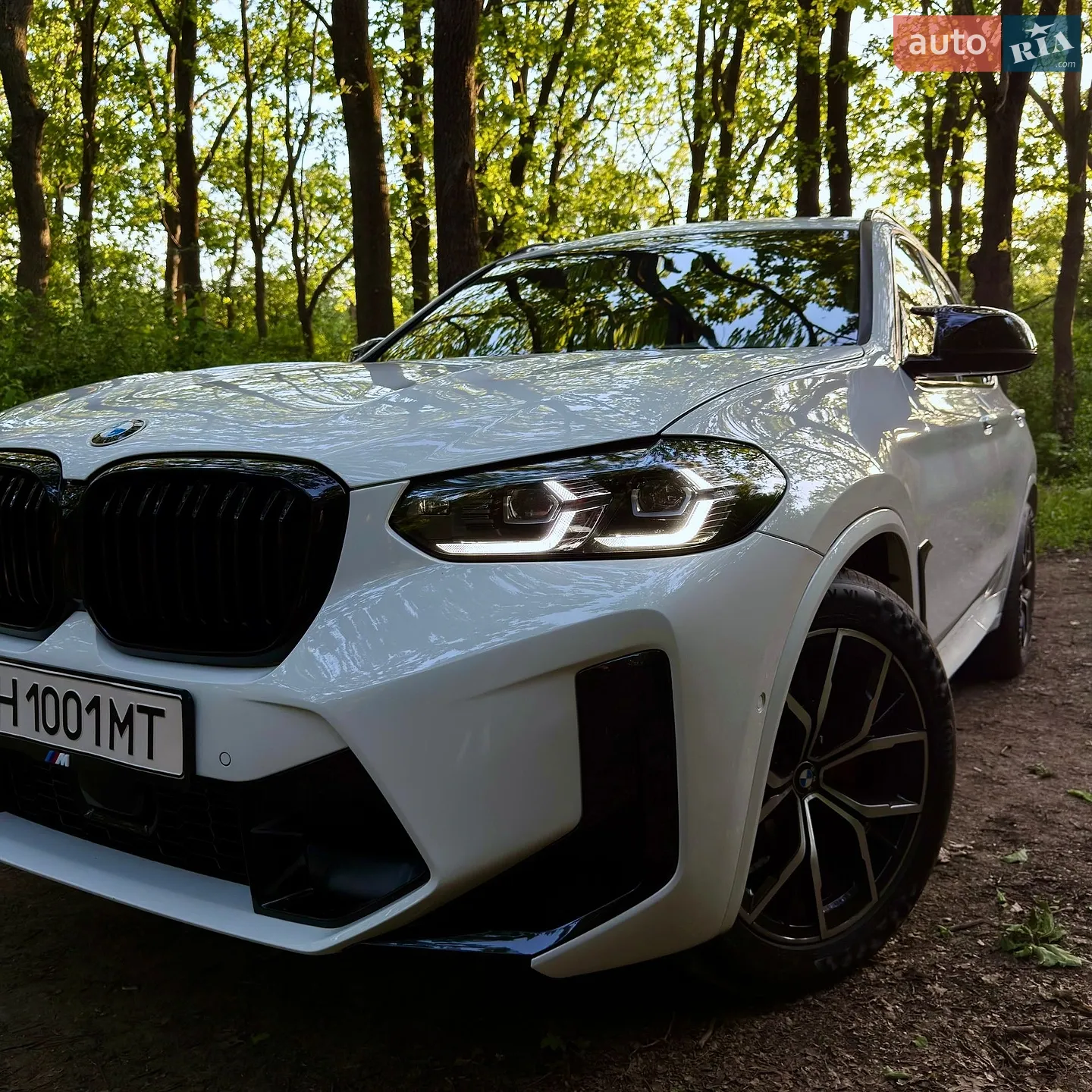 2019 BMW X3 - мініатюра 16