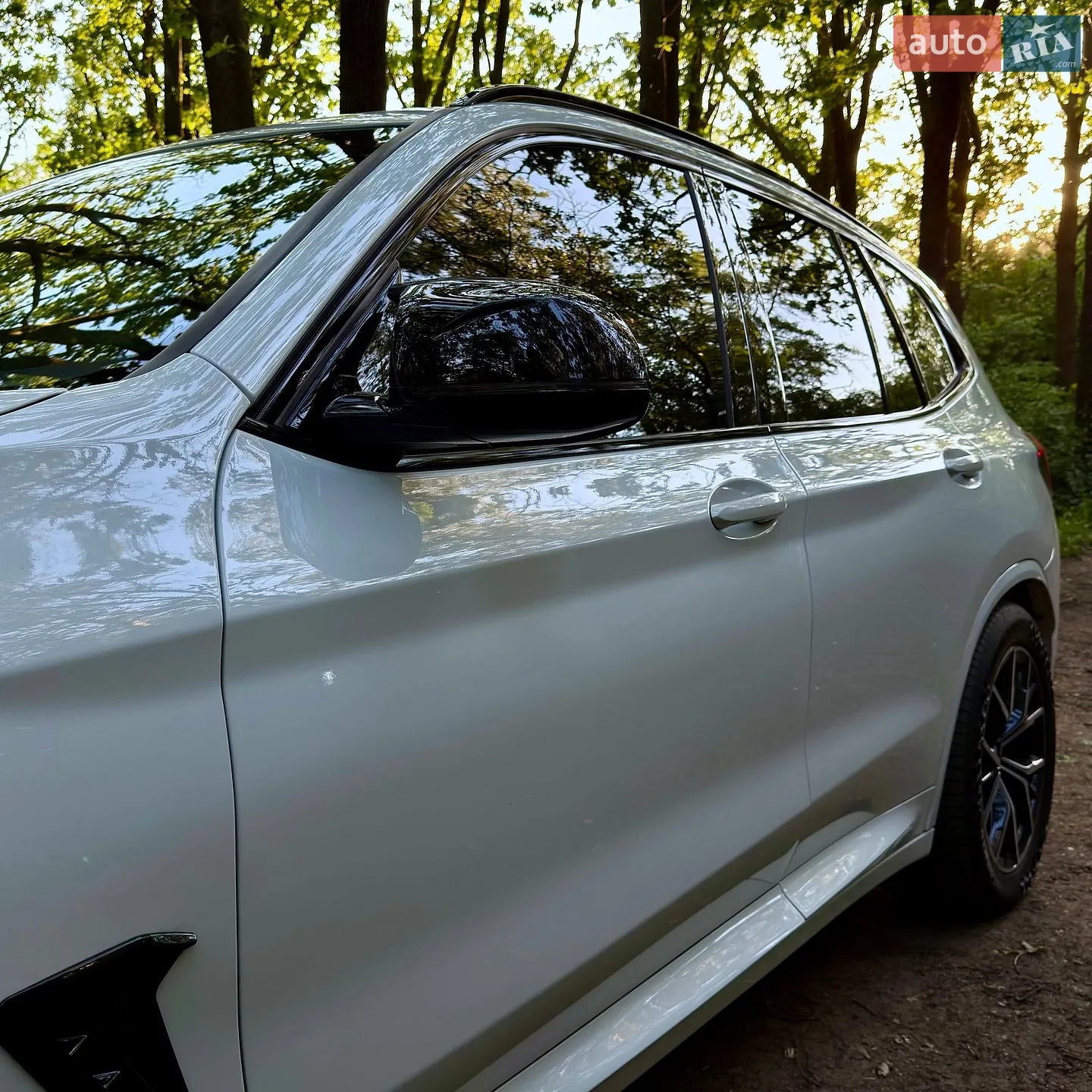 2019 BMW X3 - мініатюра 21