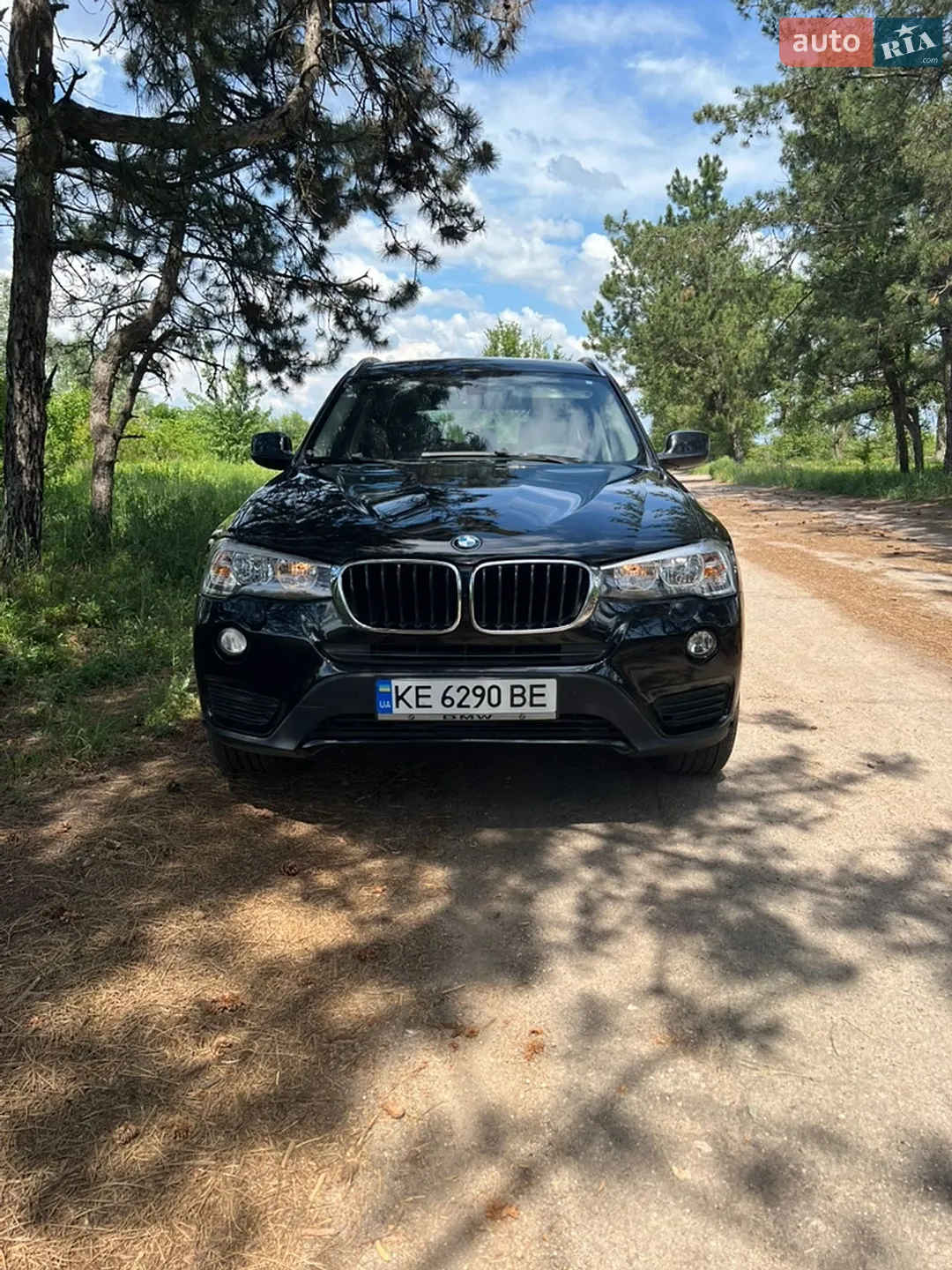 2013 BMW X3 - мініатюра 3